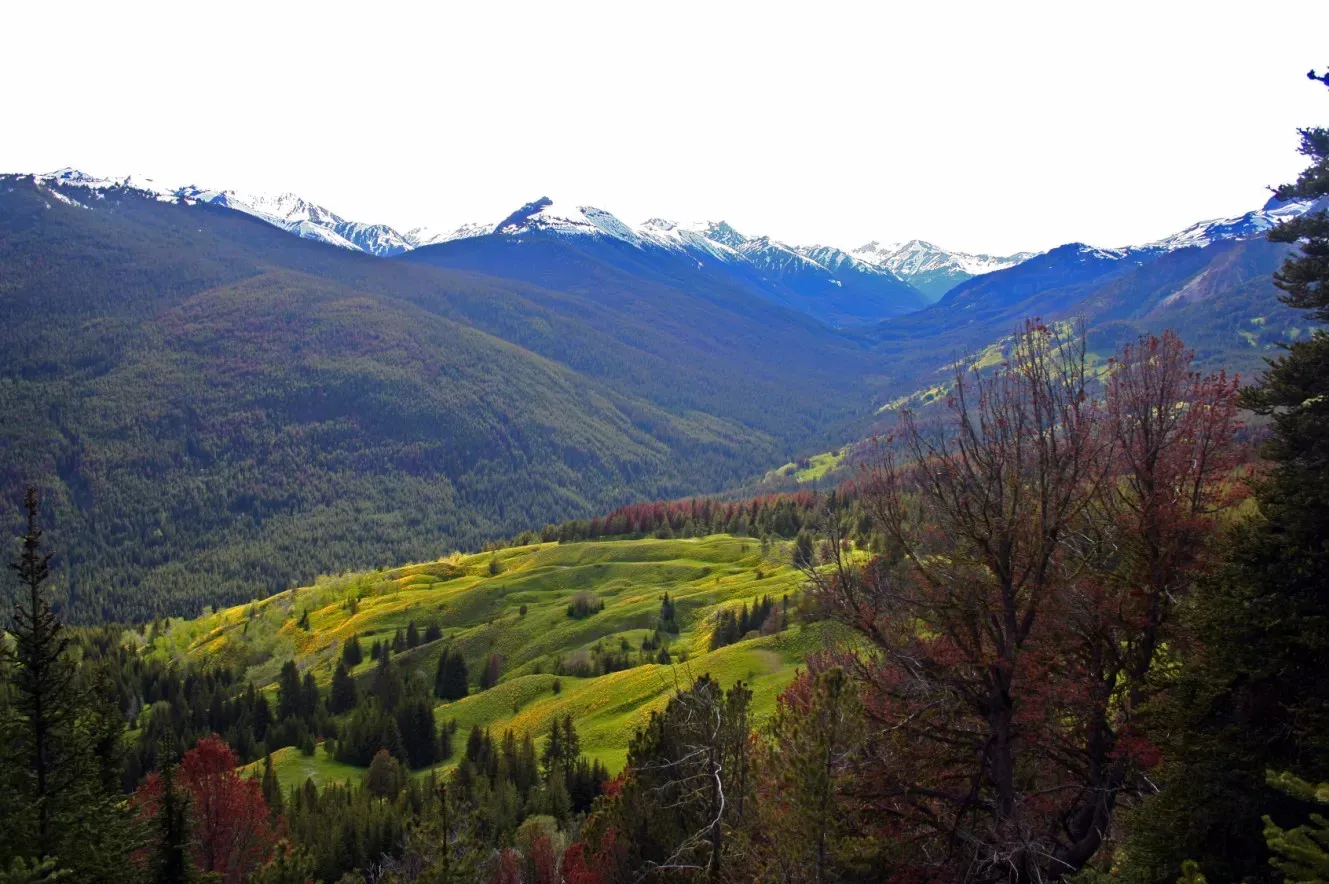 Ansicht von British Columbia