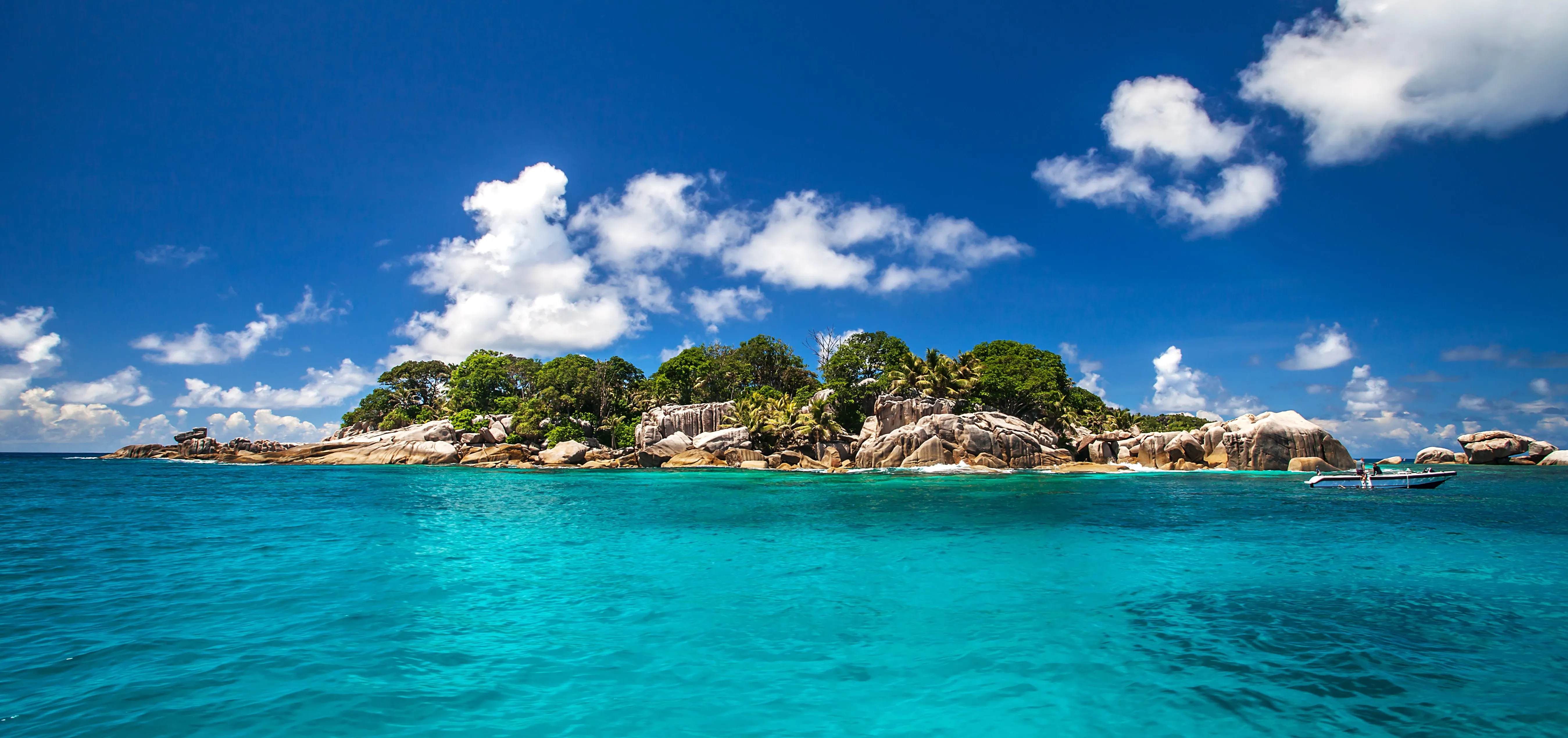coconut island