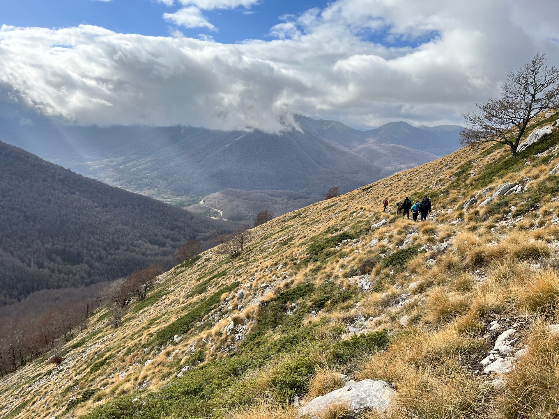 morning group activity