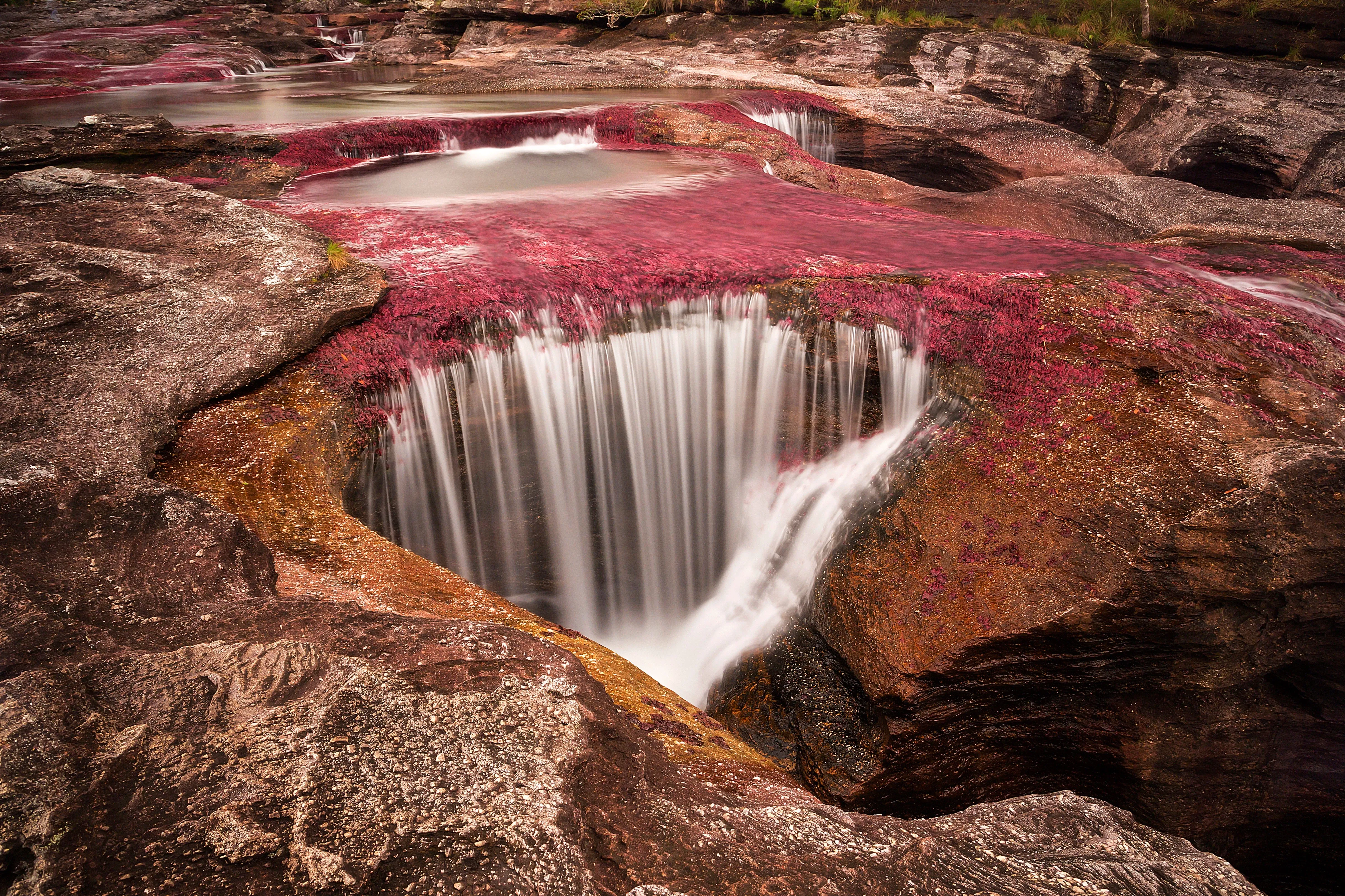 sierra macarena cano cristales