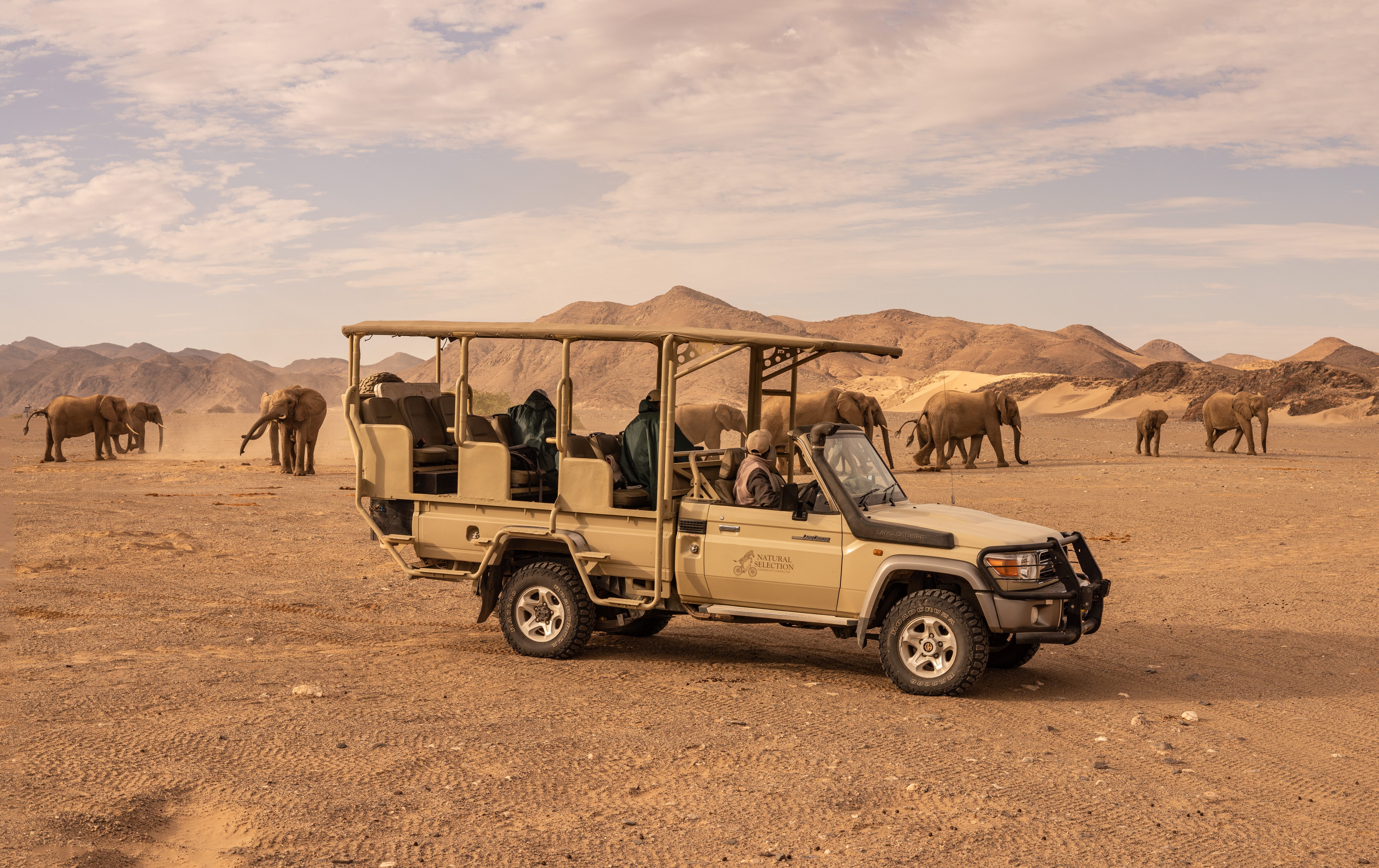 hoanib game drive
