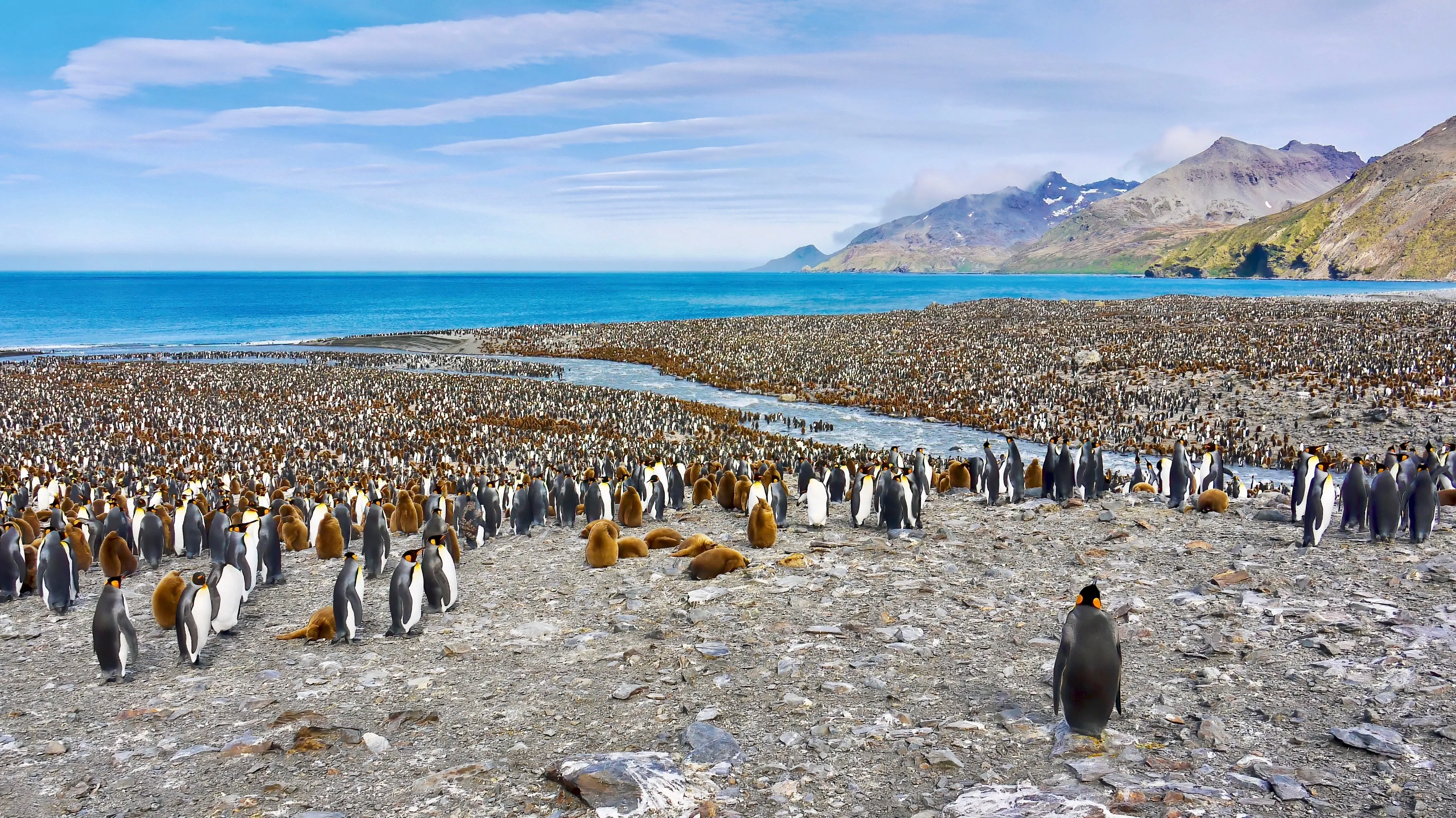 south georgia island