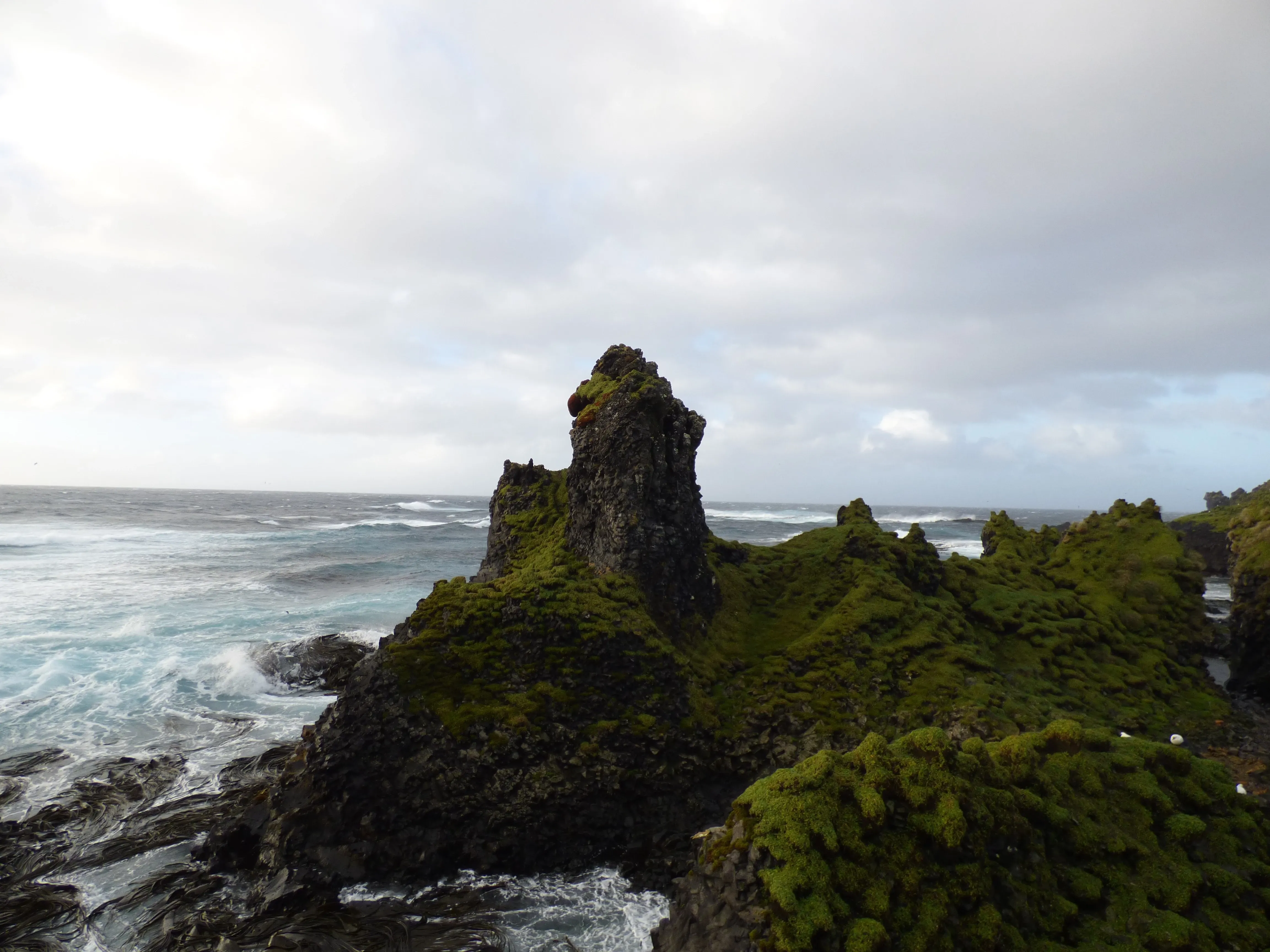 marion island south africa