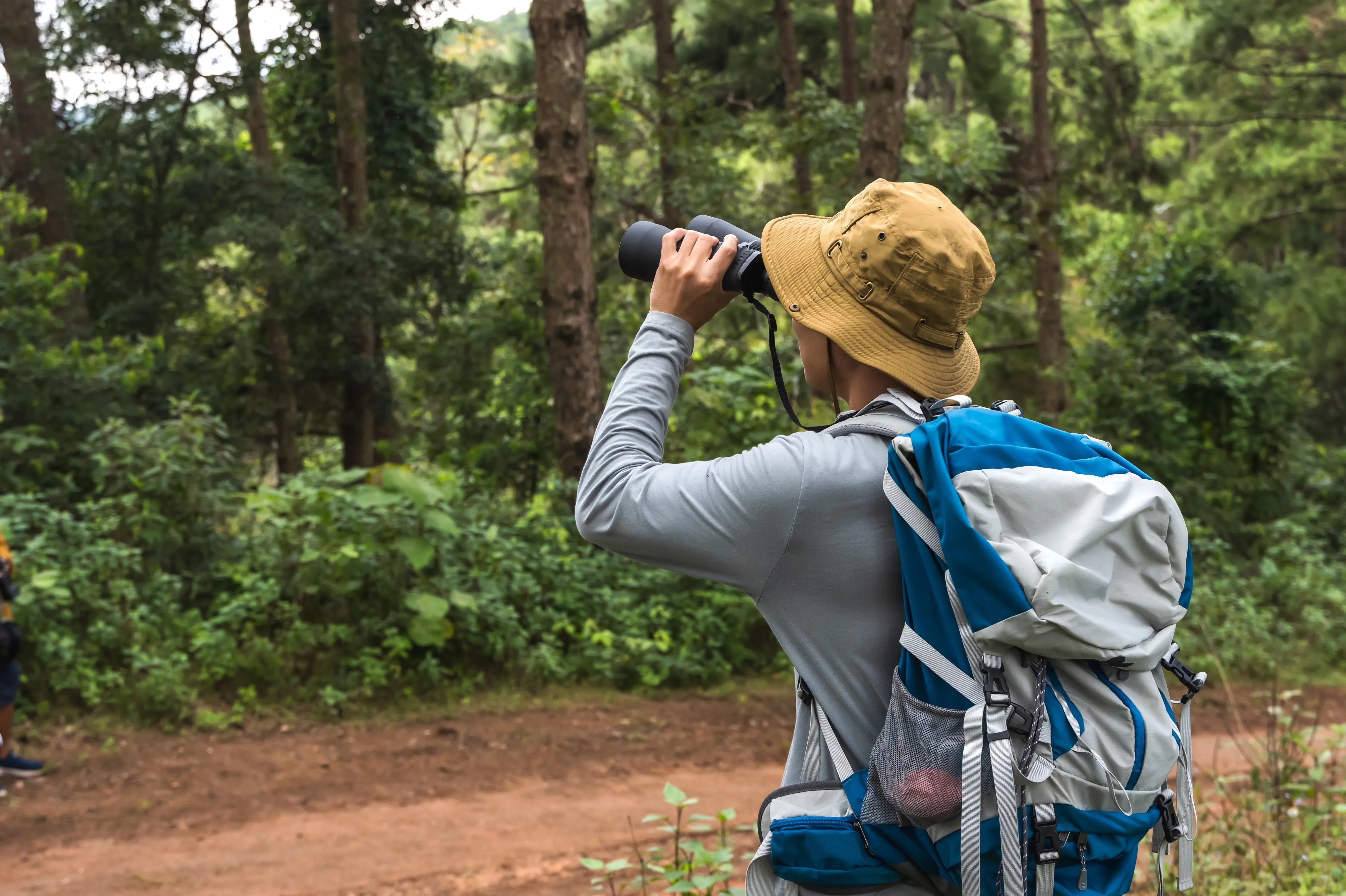 tourist using binoculars