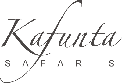 Kafunta safaris logo