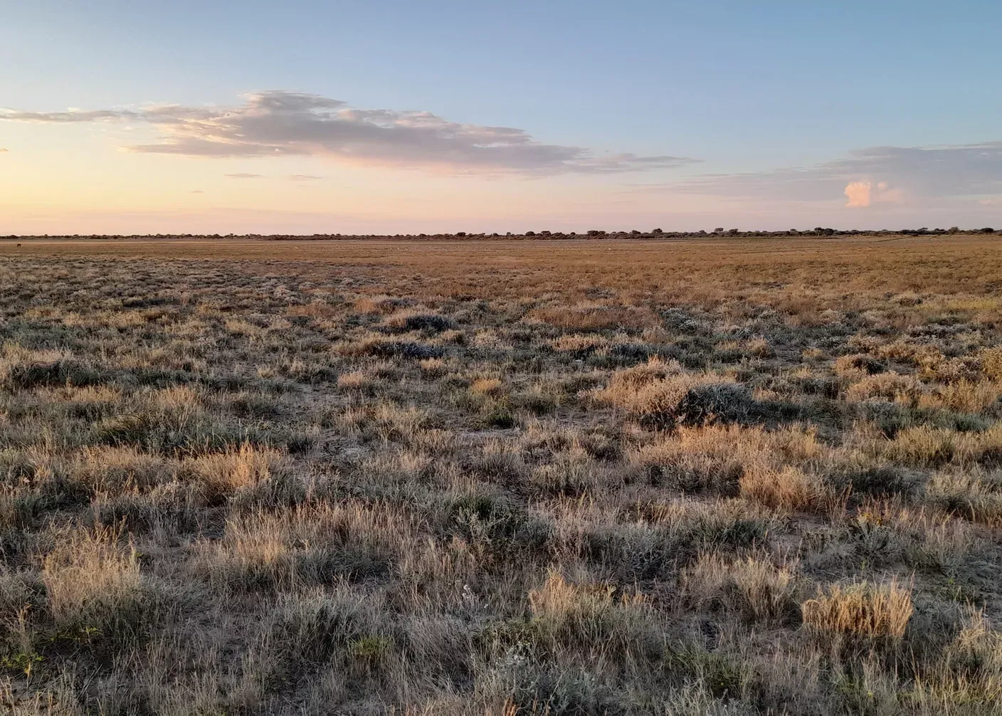Kalahari Primitive Trail, Südafrika