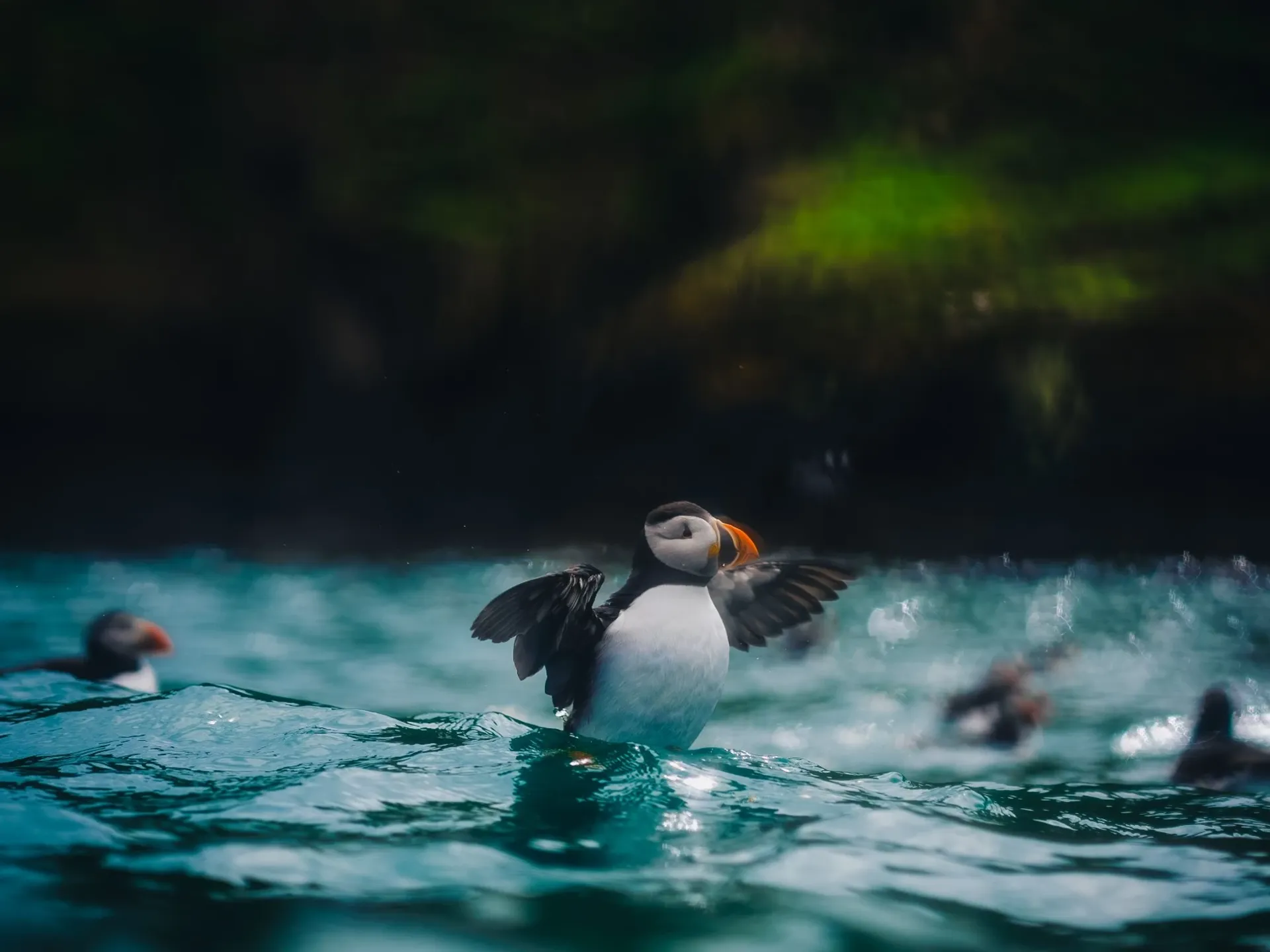 Celtic Deep, United Kingdom