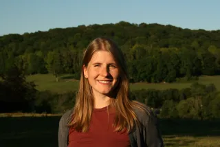 Amerikanische Mustangs - Symbol der Freiheit