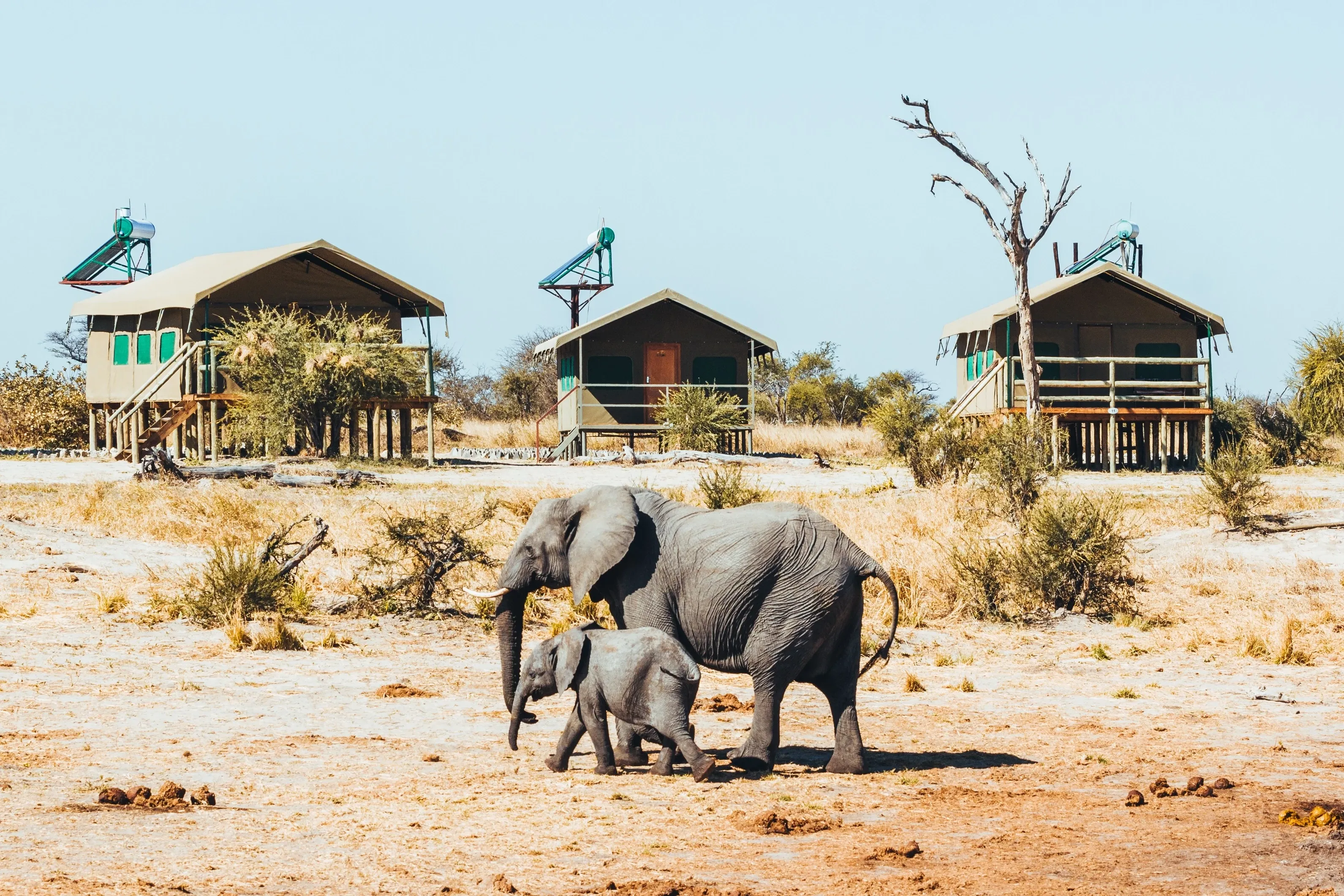 Unterkunft in der Elephants Crossing Lodge