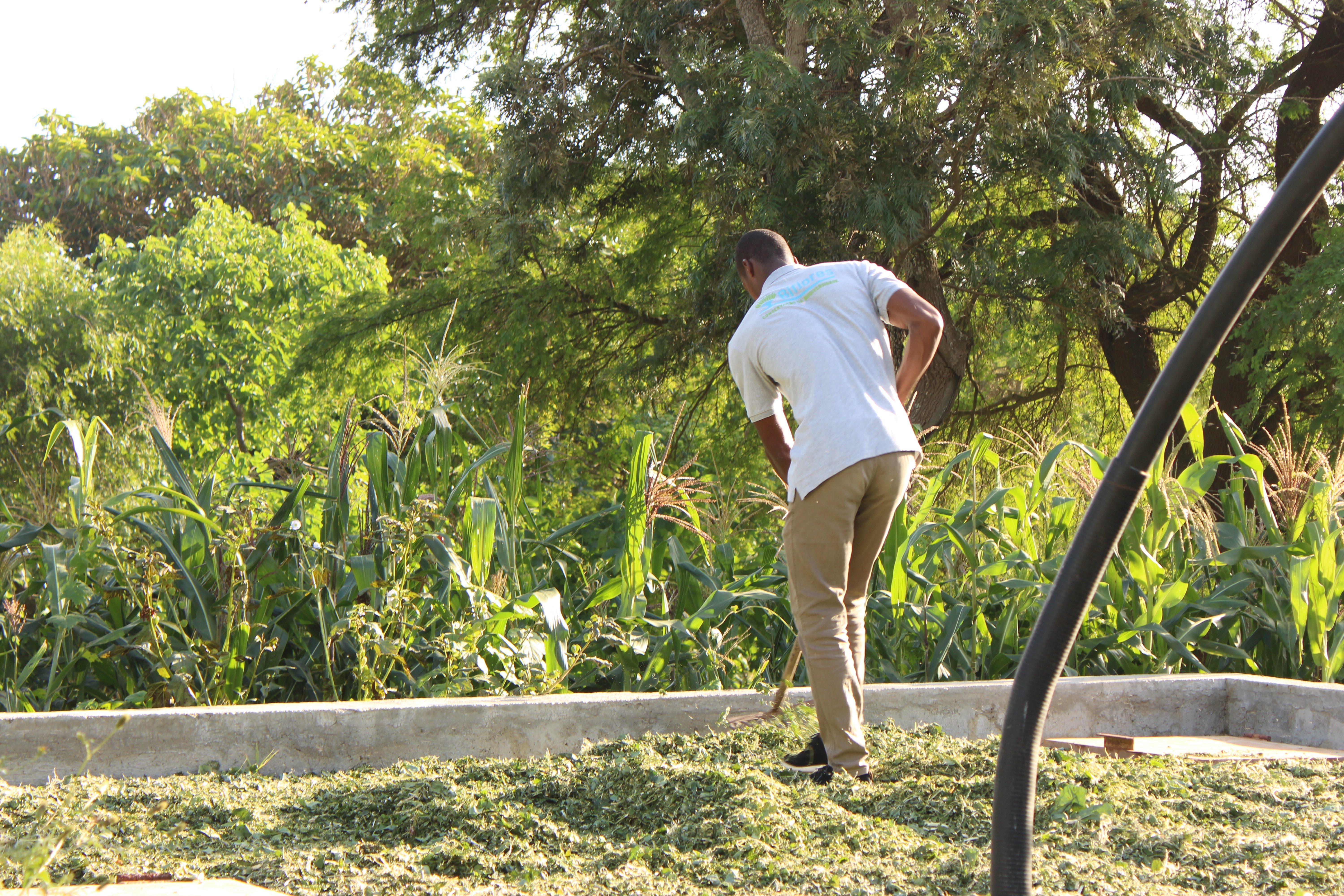 Staff member clearing up the headquarters