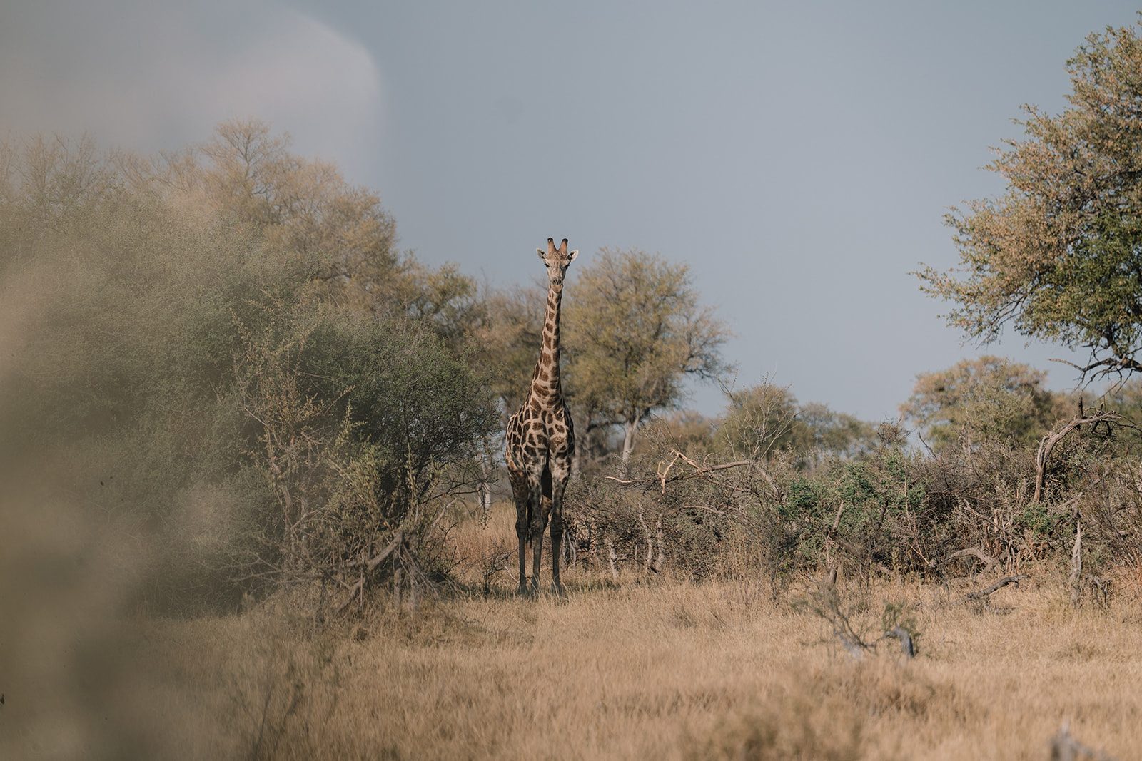 Our partner: African Guide Academy