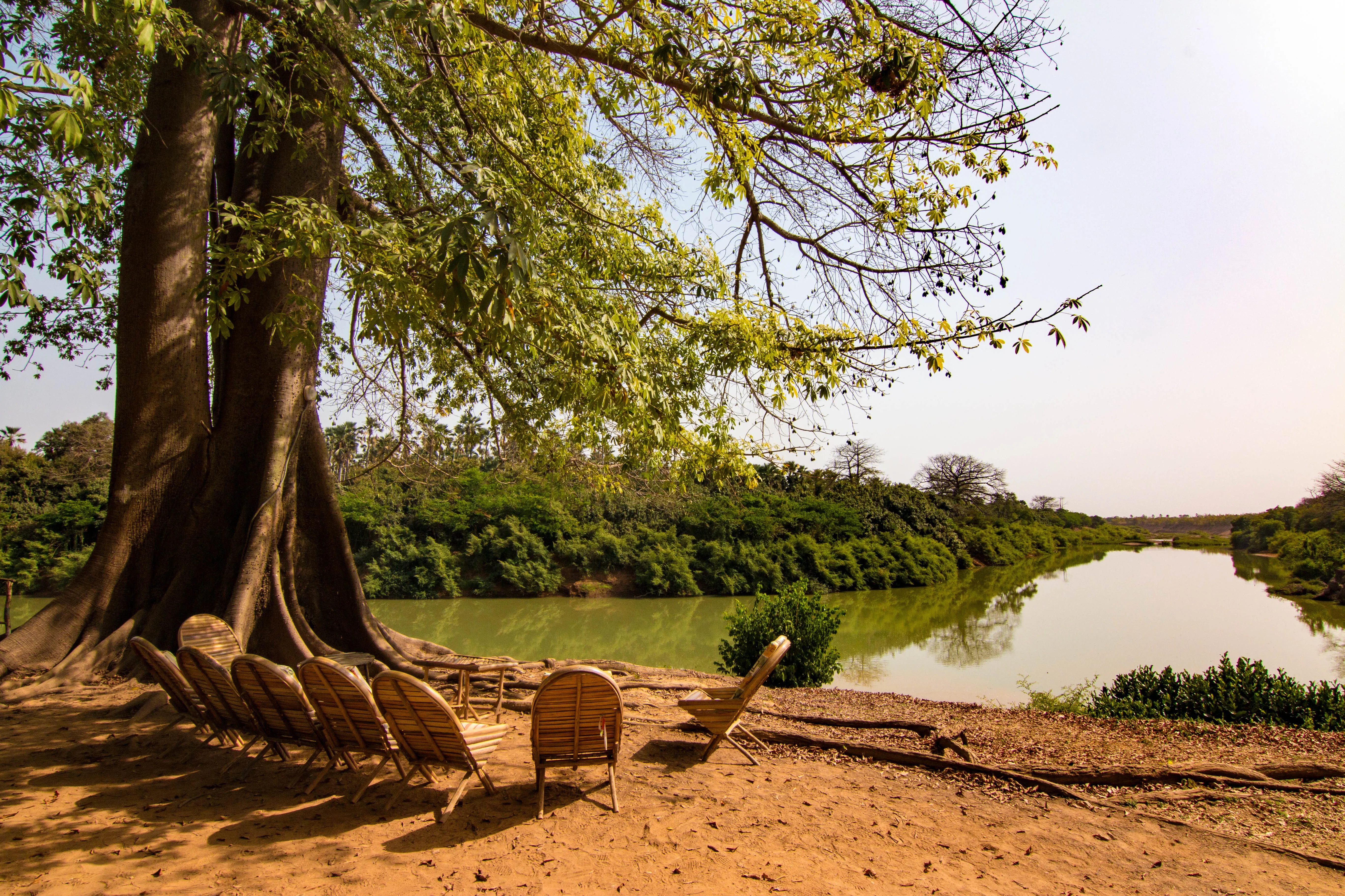 gambia river niokolo koba national park senegal