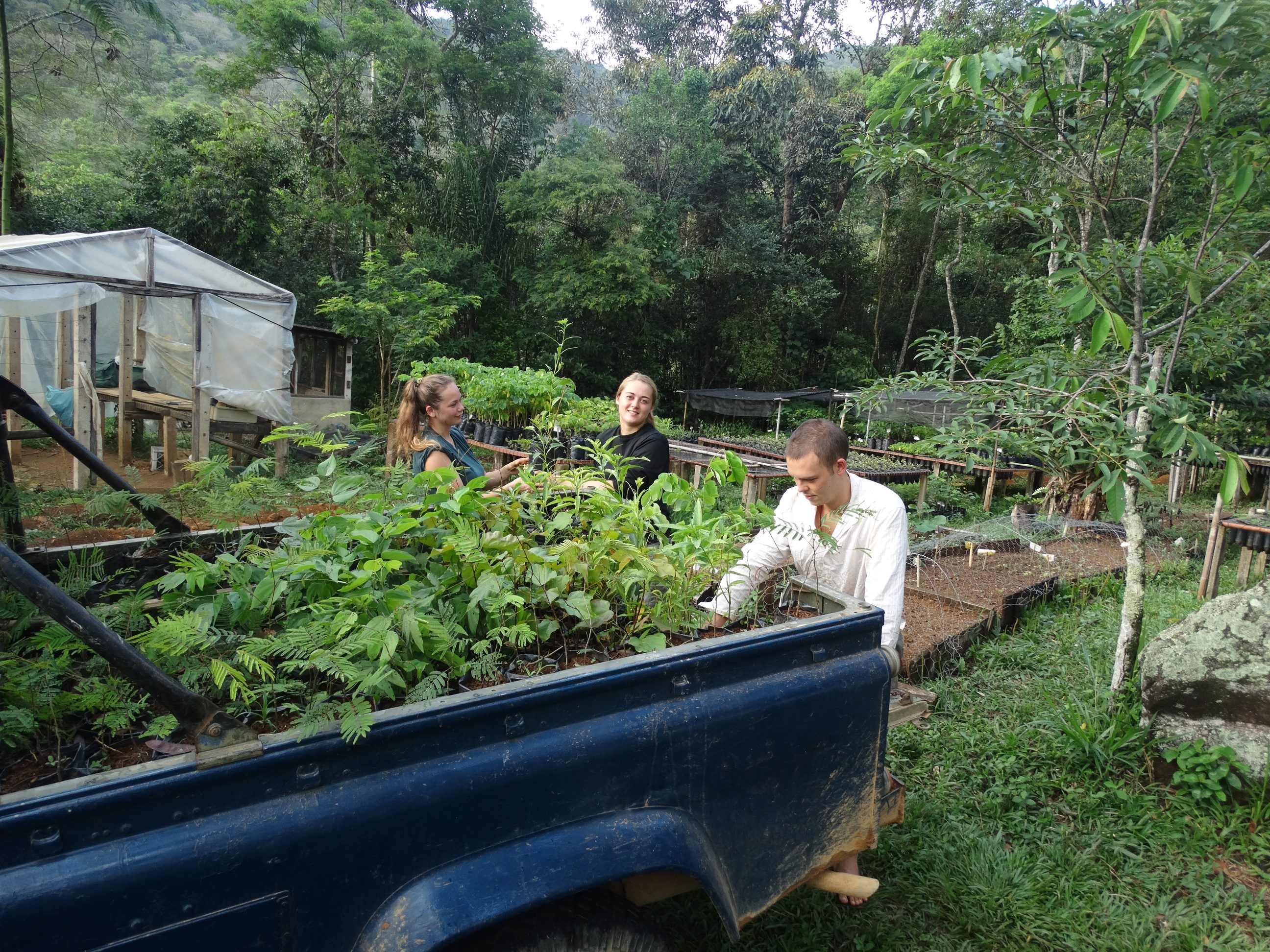 Freiwilligenprojekt Waldschutz, Brasilien