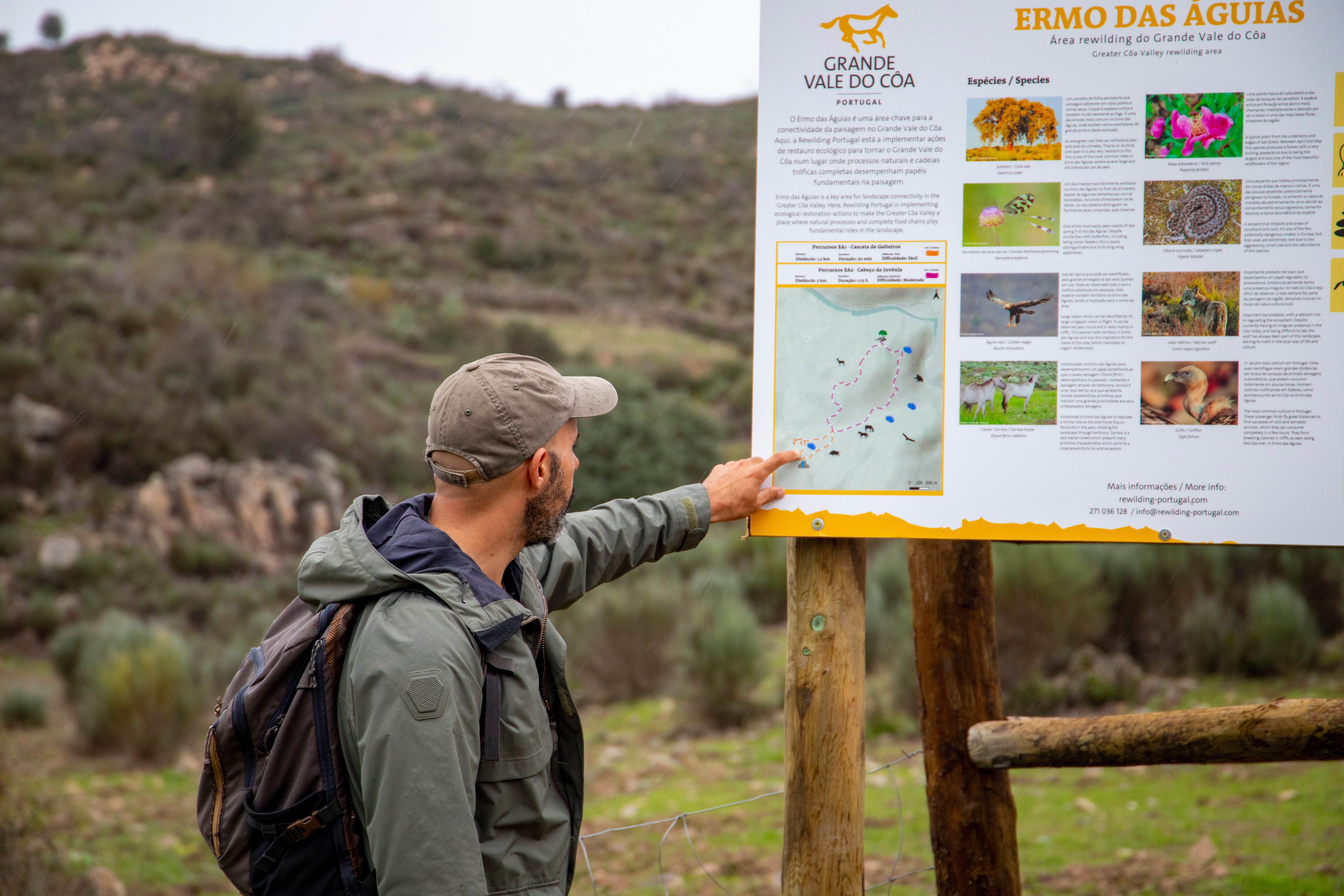 Wilder Places Grande Do Coa workshop