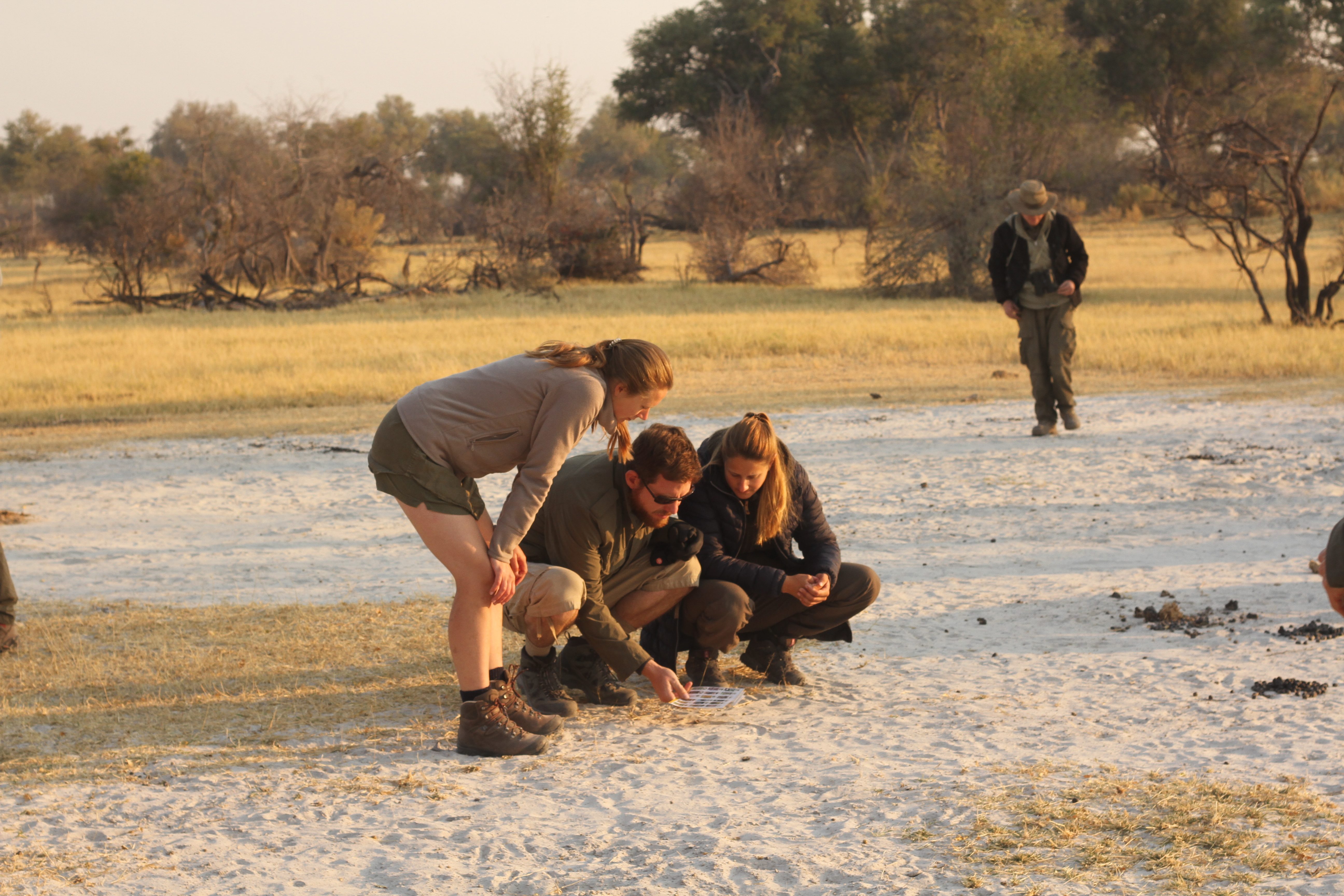 Our partner: African Guide Academy