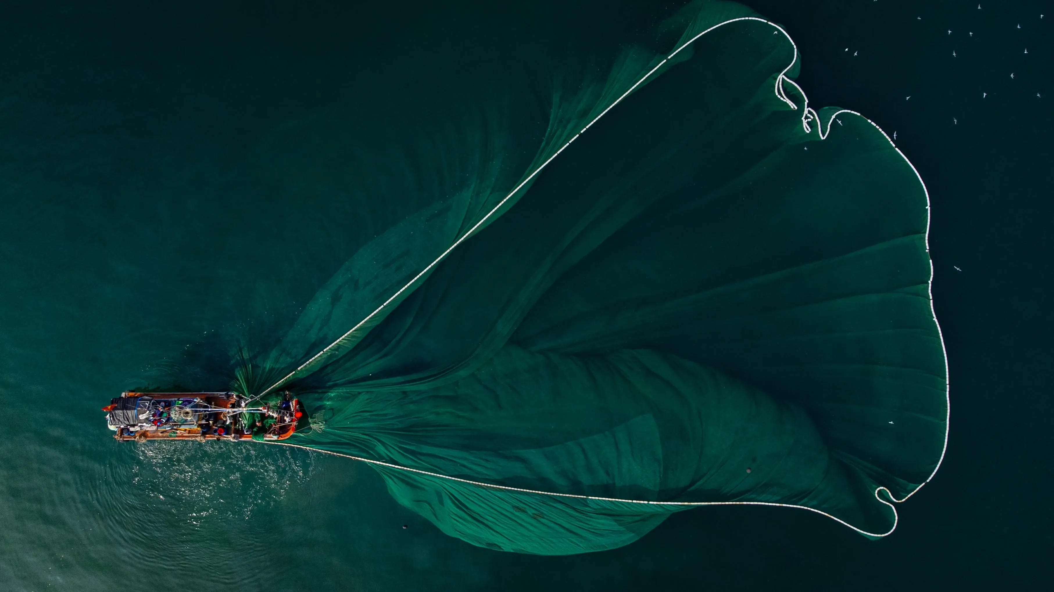 Fishing boat huge net