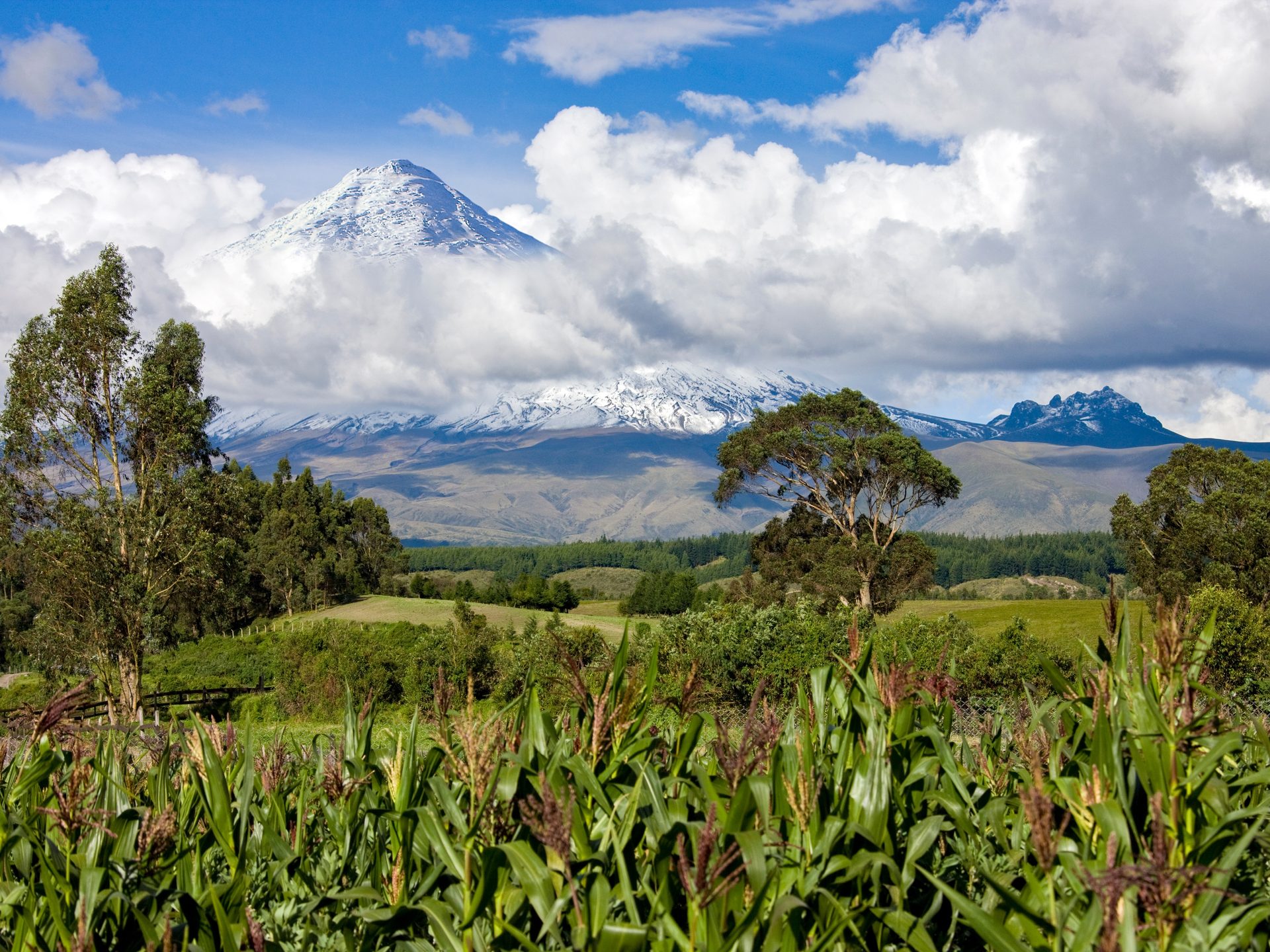 Vulkan Cotopaxi