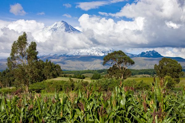 cotopaxi volcano