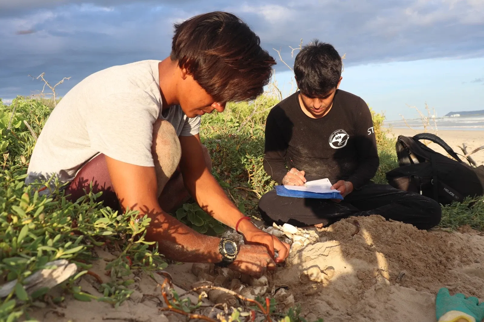 Zwei Freiwillige betrachten ein Schildkrötennest am Strand und machen sich Notizen