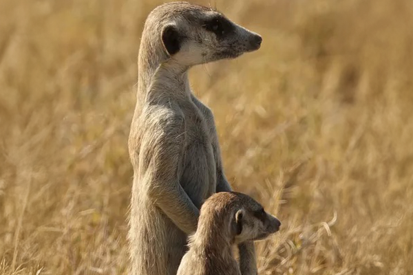 Home: Welcome to Conscious Explorer