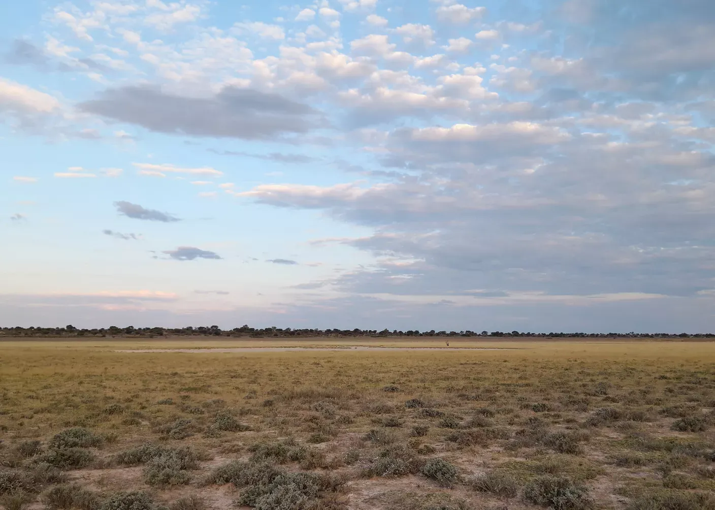 Kalahari Primitive Trail, Südafrika