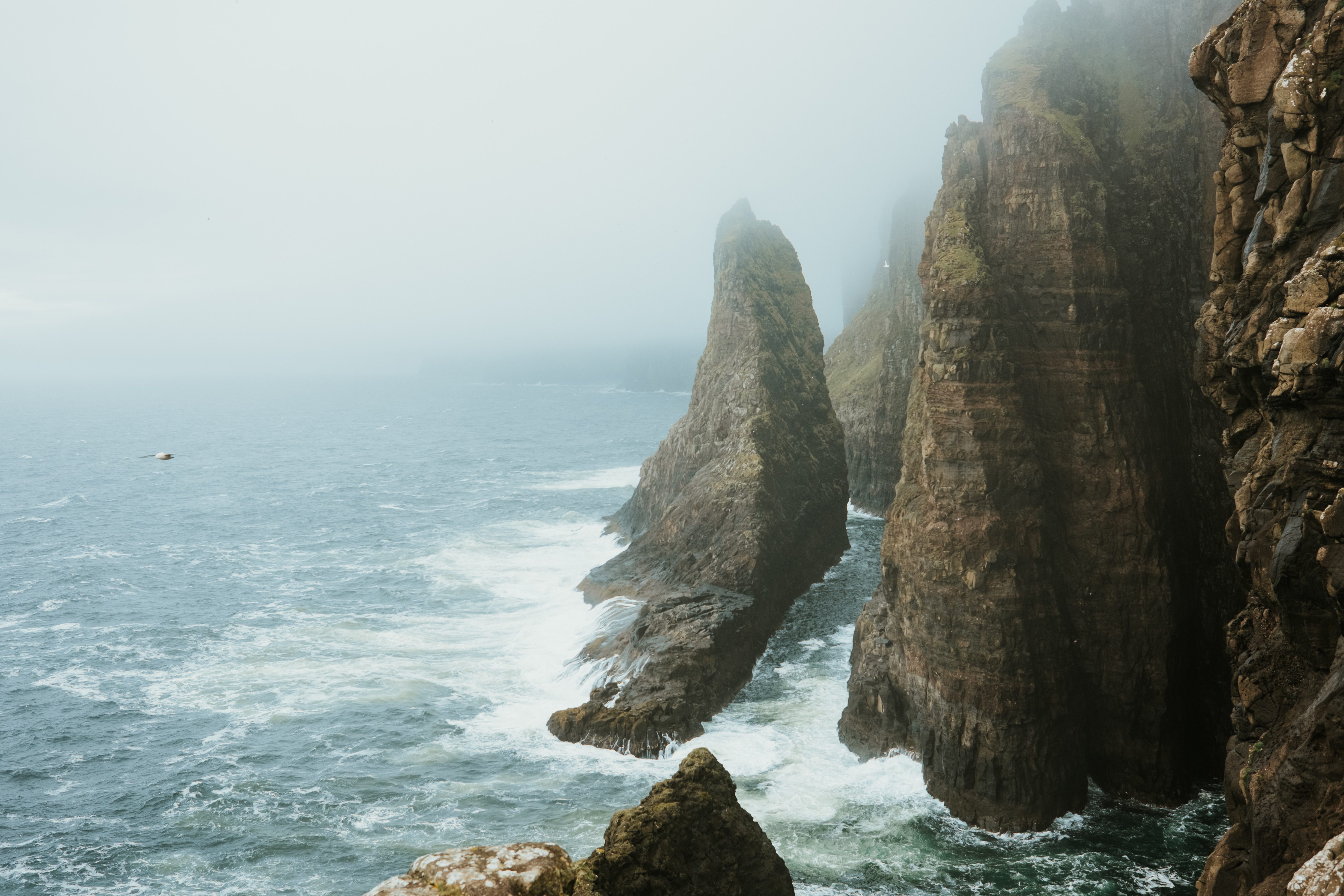 The Faroe Islands: Conservation in the North Atlantic