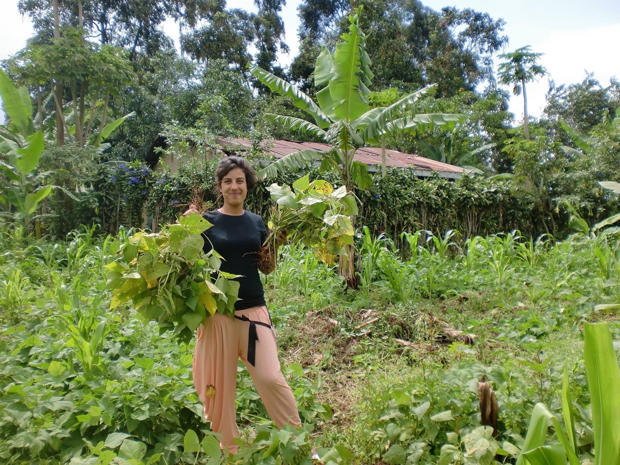 ehrenamtlicher Naturschutz