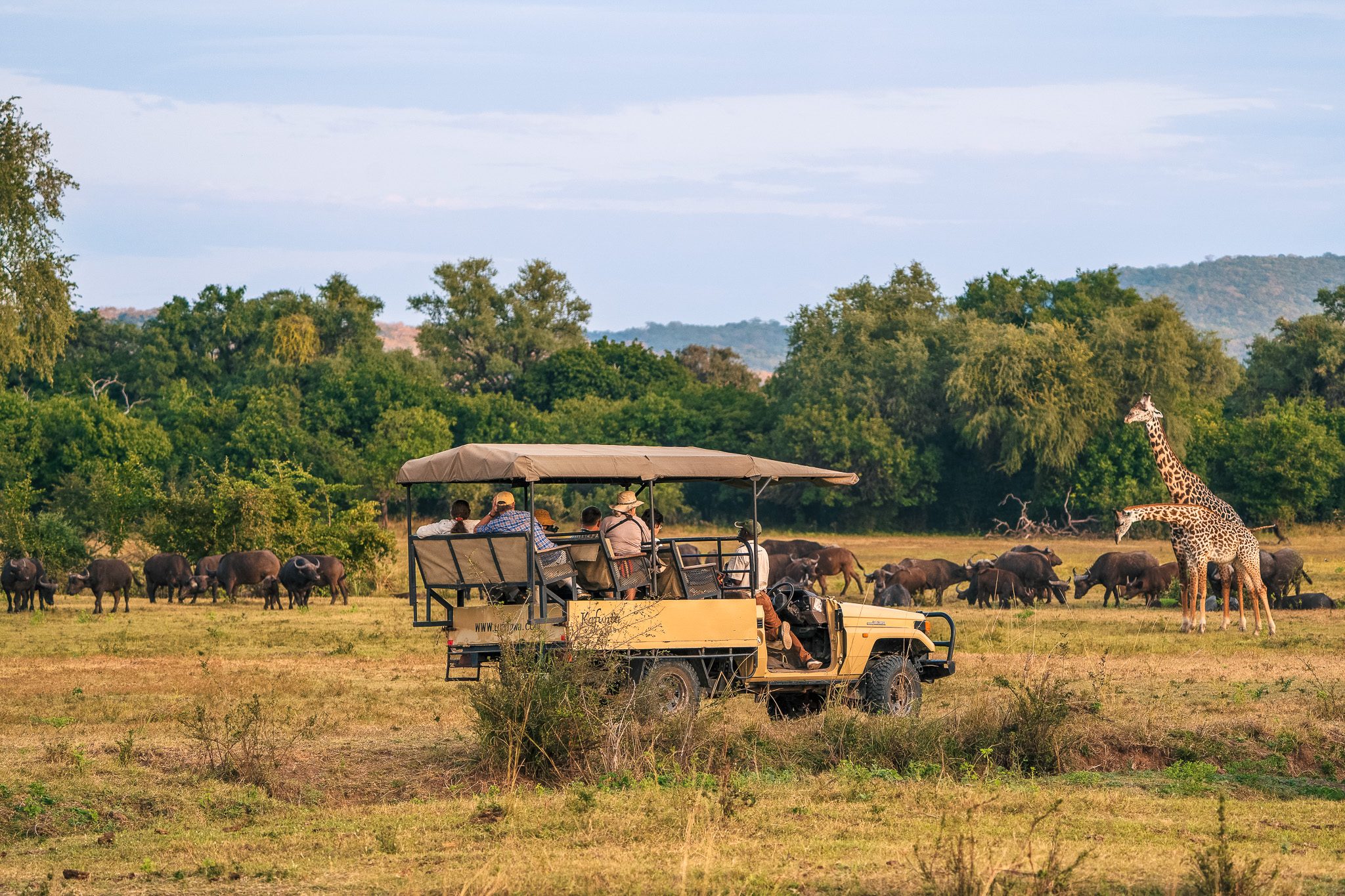 kafunta safaris game activity