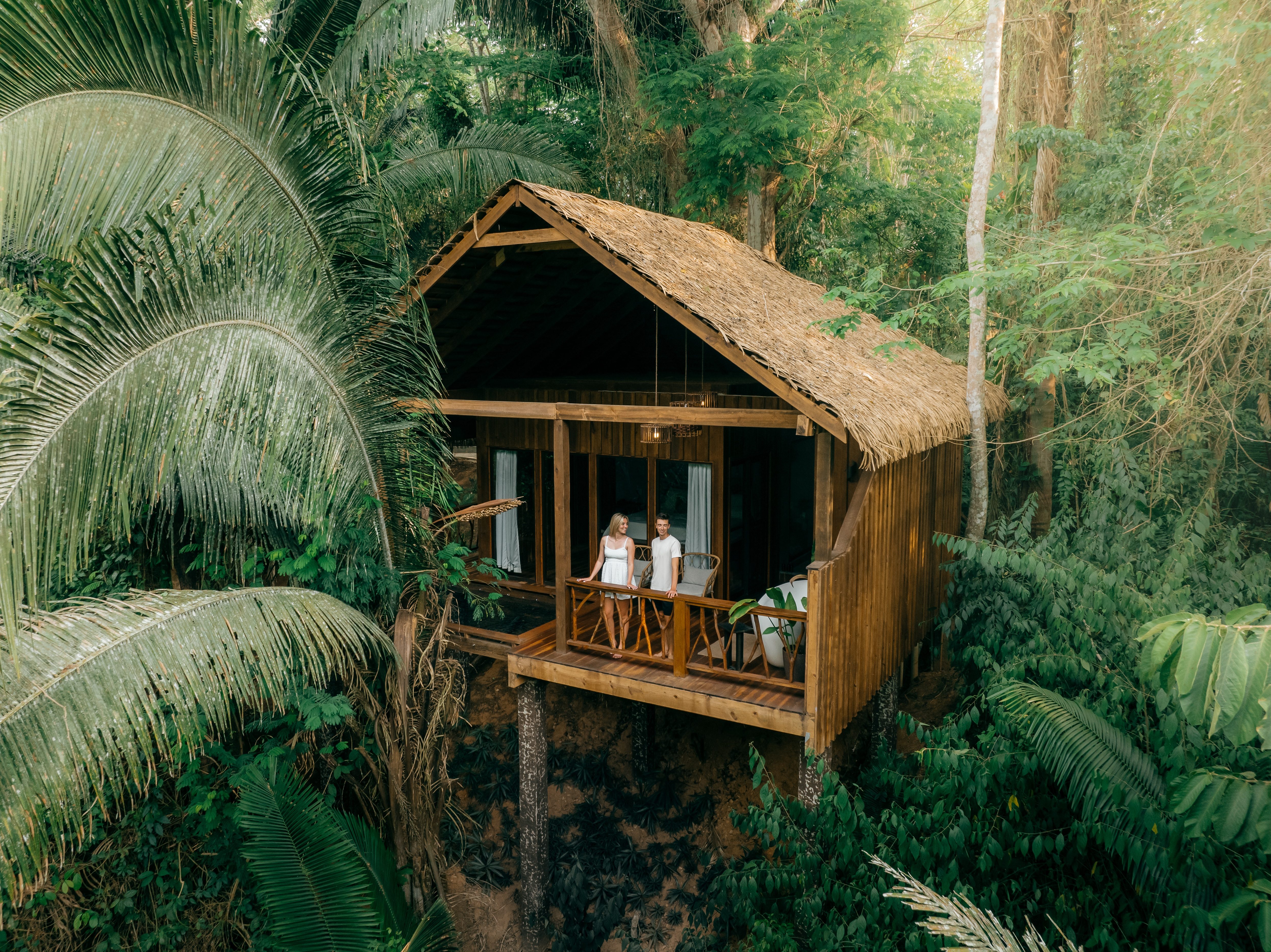 Aerial view of the signature treehouse