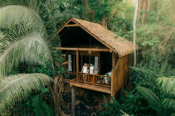 Aerial view of the signature treehouse