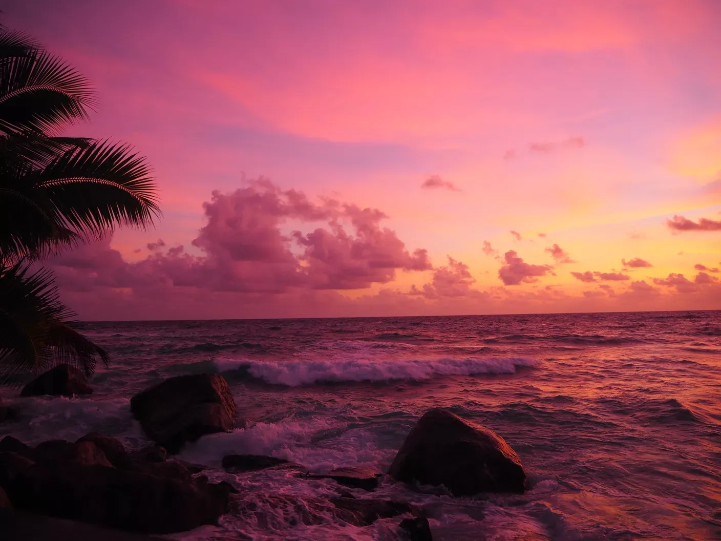 Rosafarbener Sonnenuntergang am Strand und im Meer auf der Nordinsel