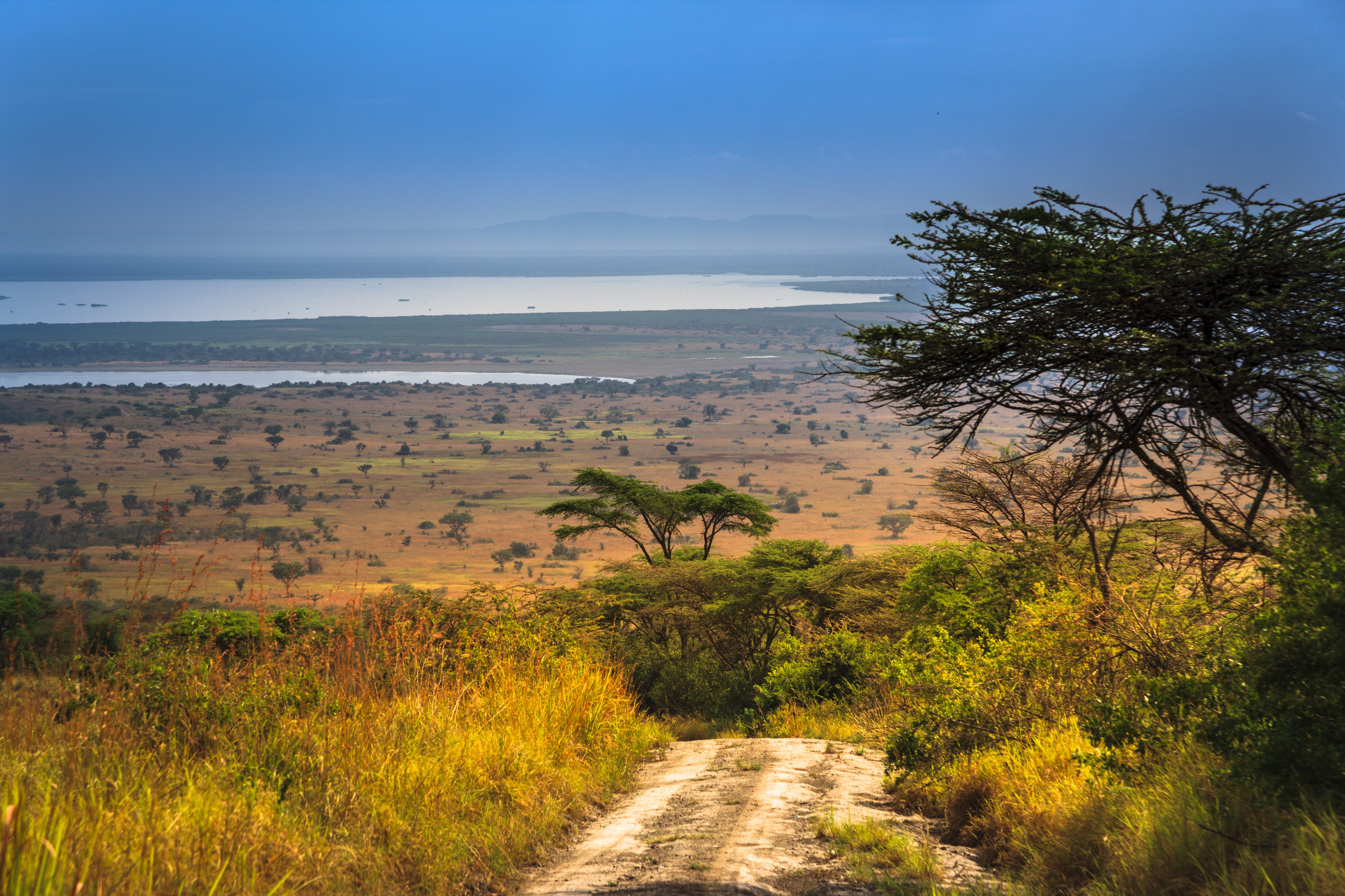 Road leading into Queen Elizabeth National Park
