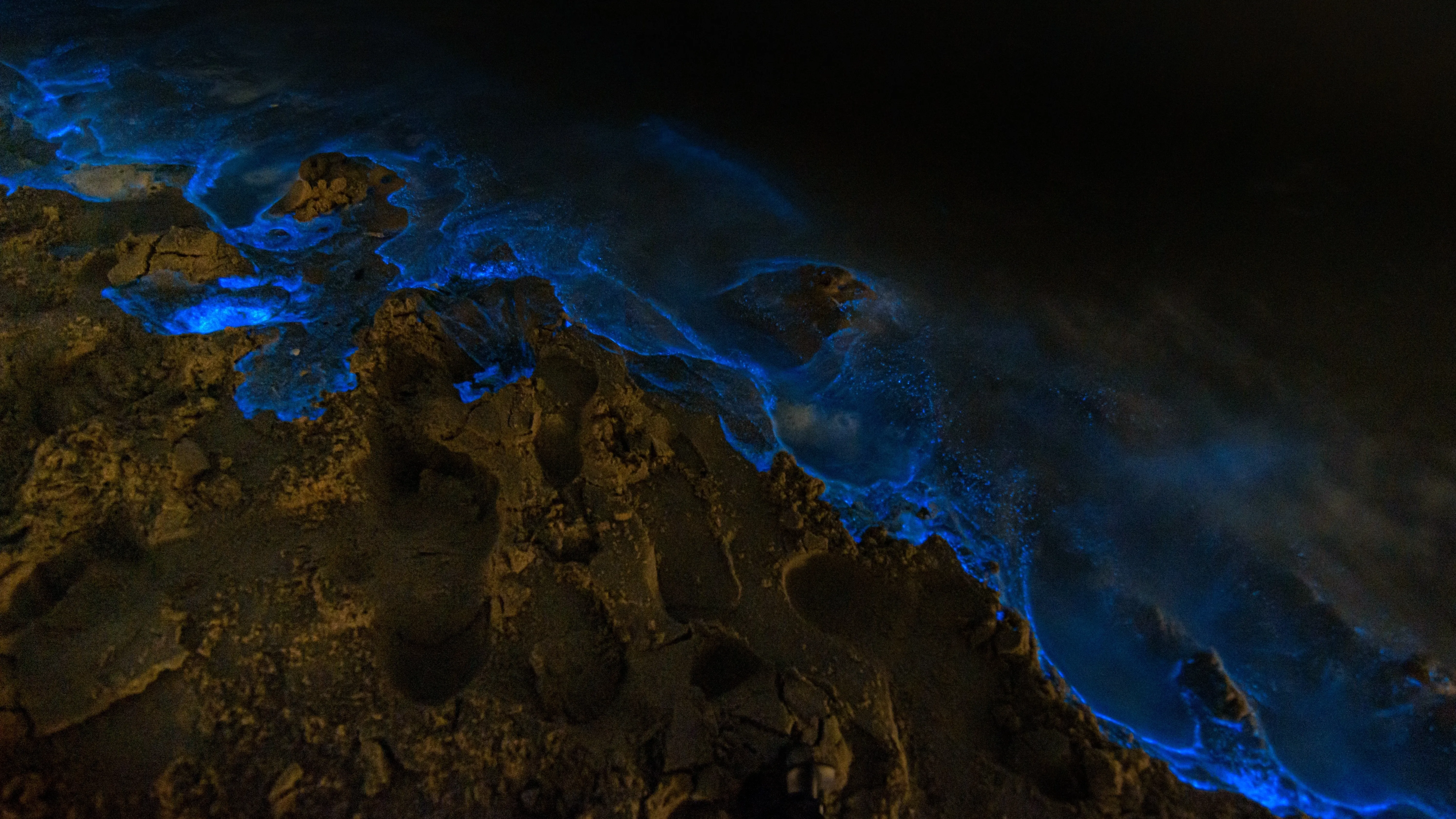 blue glowing plankton