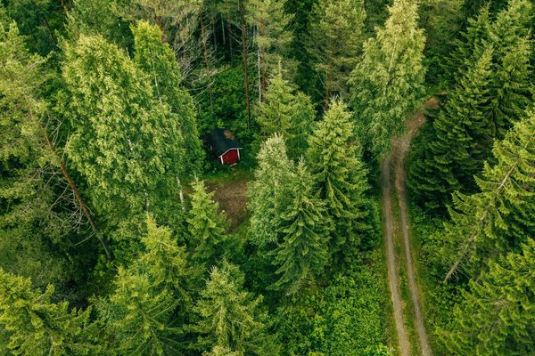 The healing power of nature-focused living