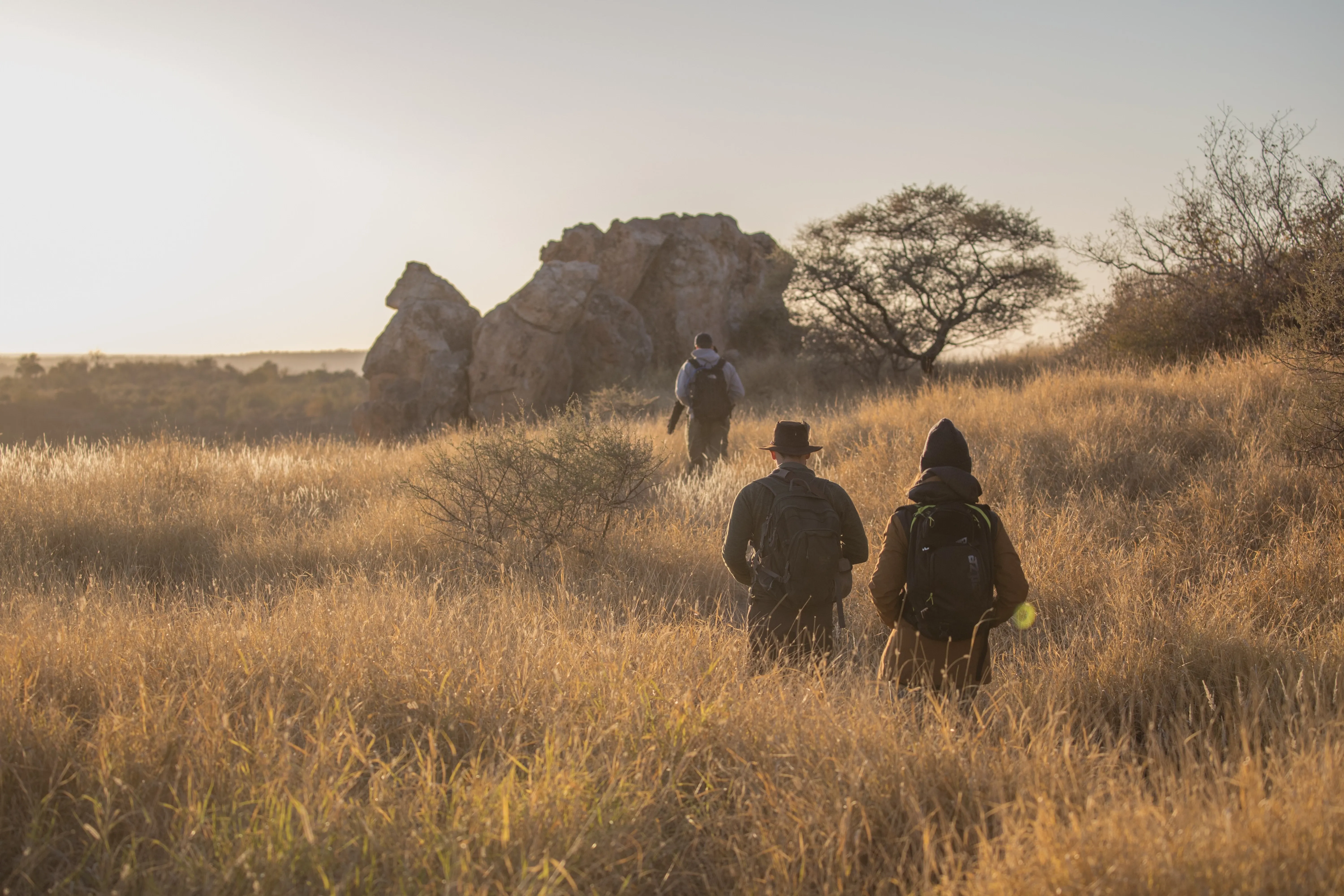 Guide Courses in Southern Africa