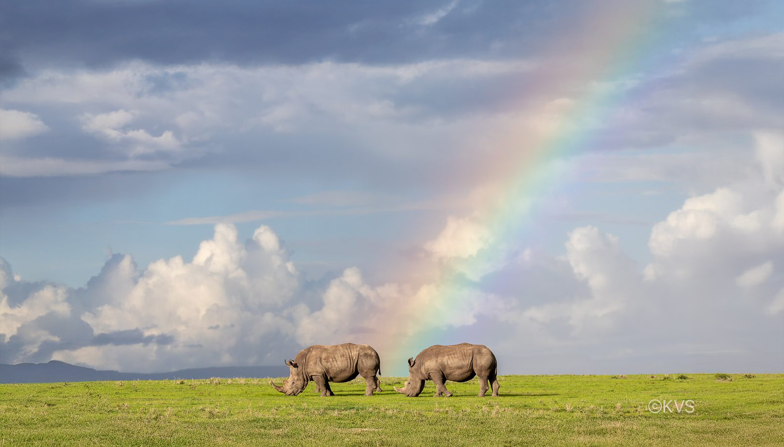 Our partner: Kampur Travel Diaries