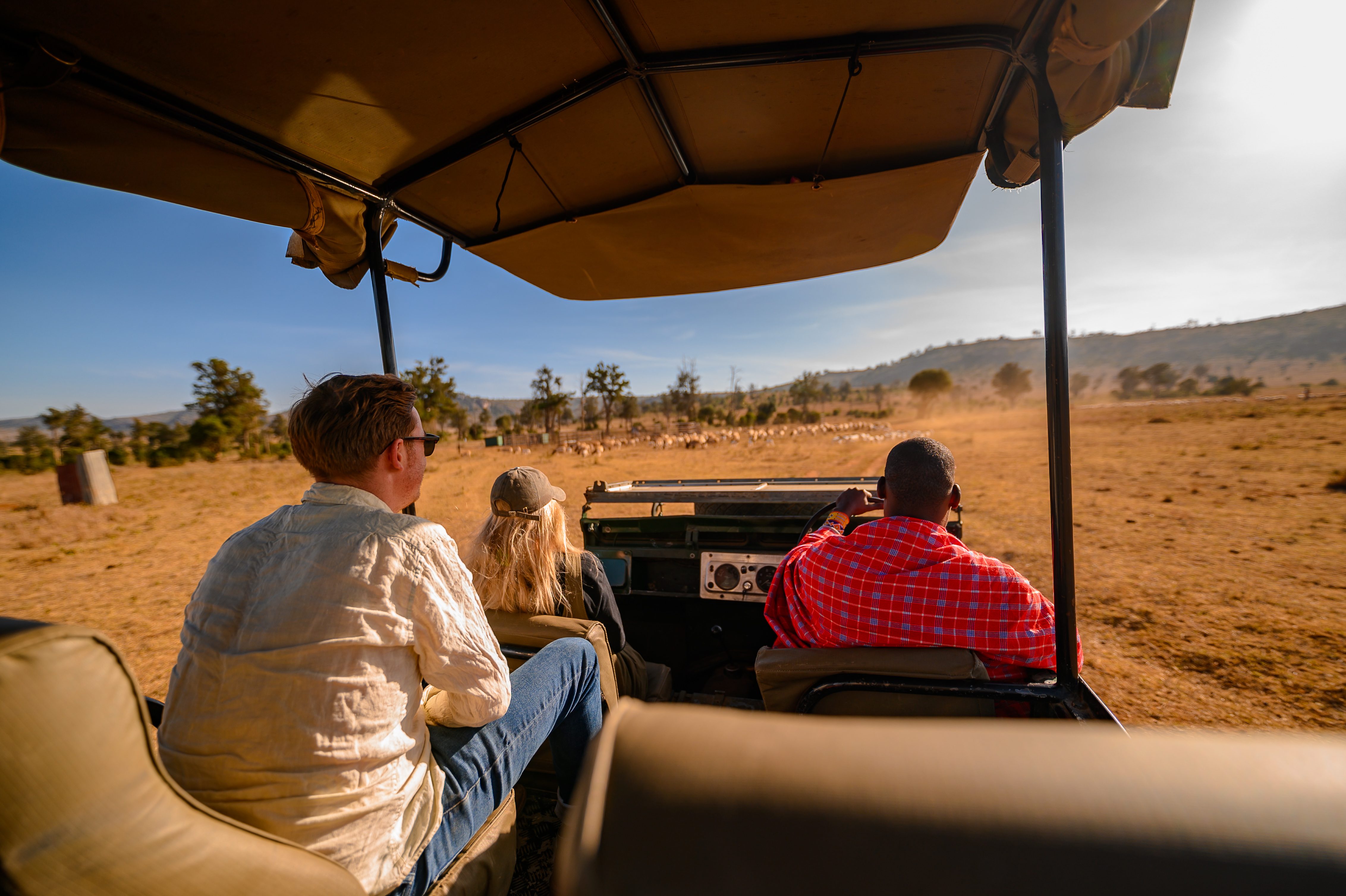 Game drive activity