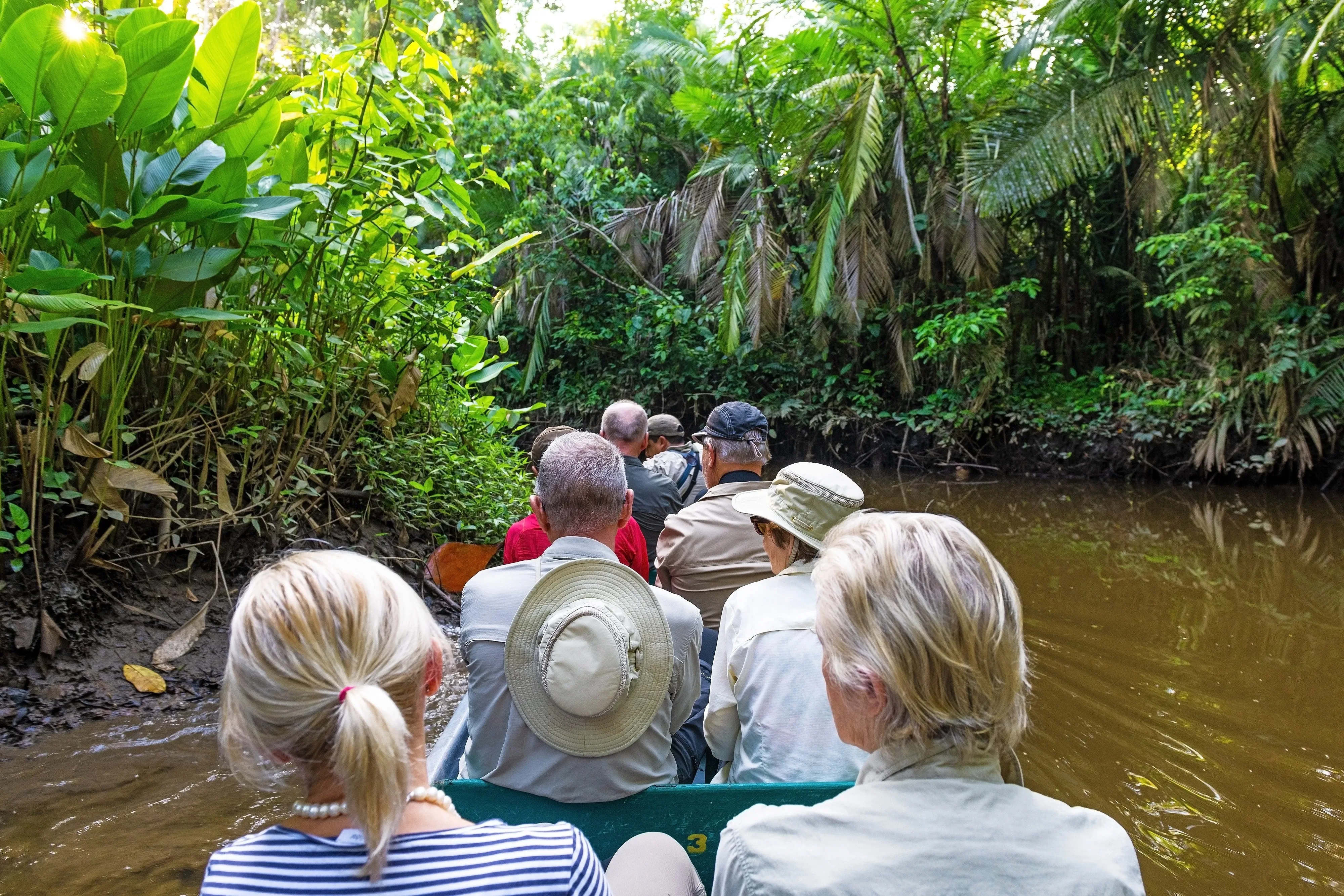 rainforest ecotourism