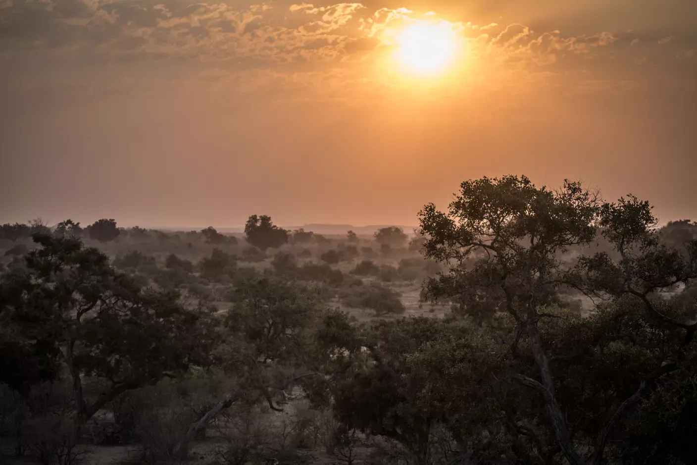 Guide Courses in Africa