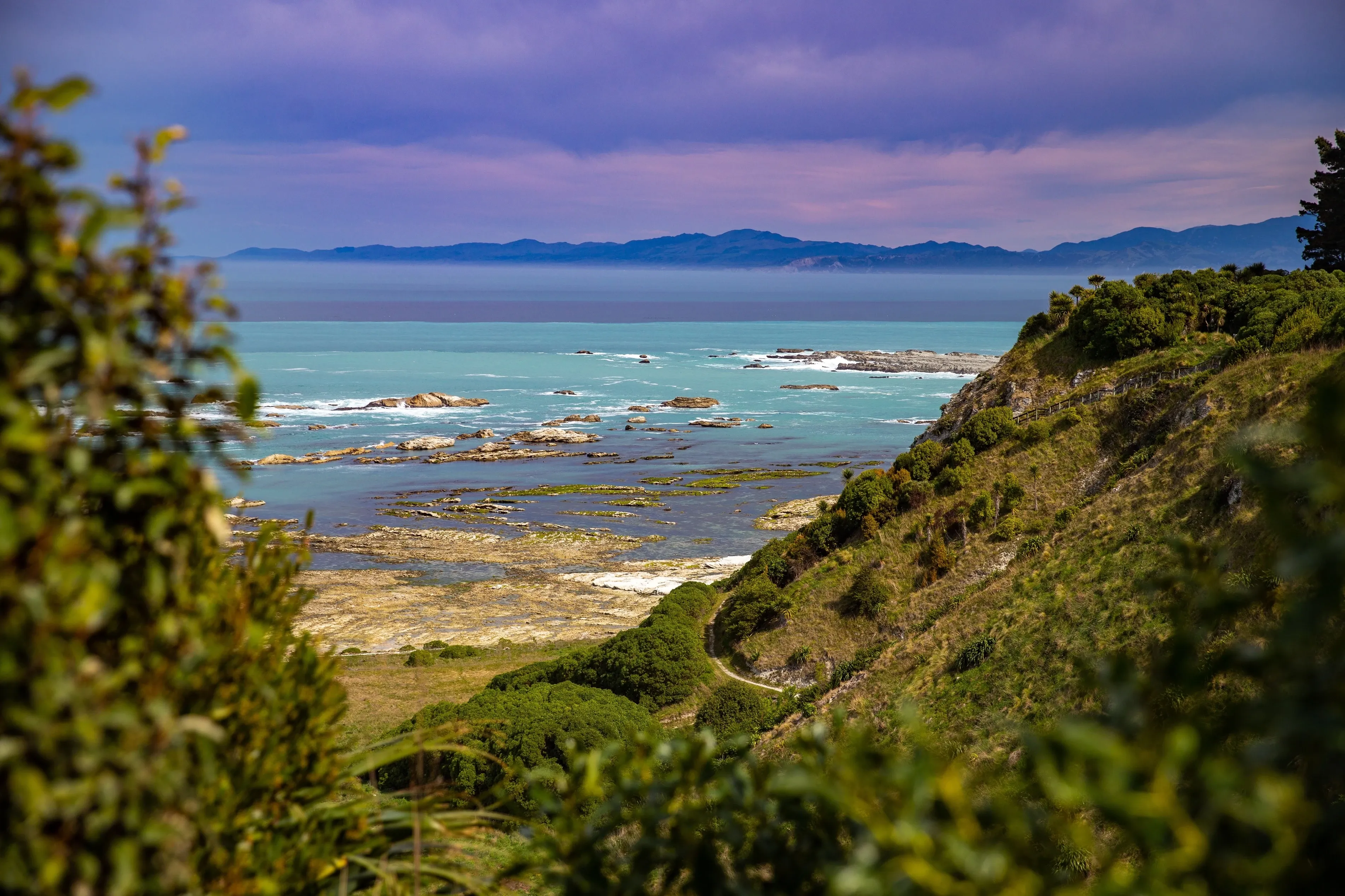 New zealand coastline
