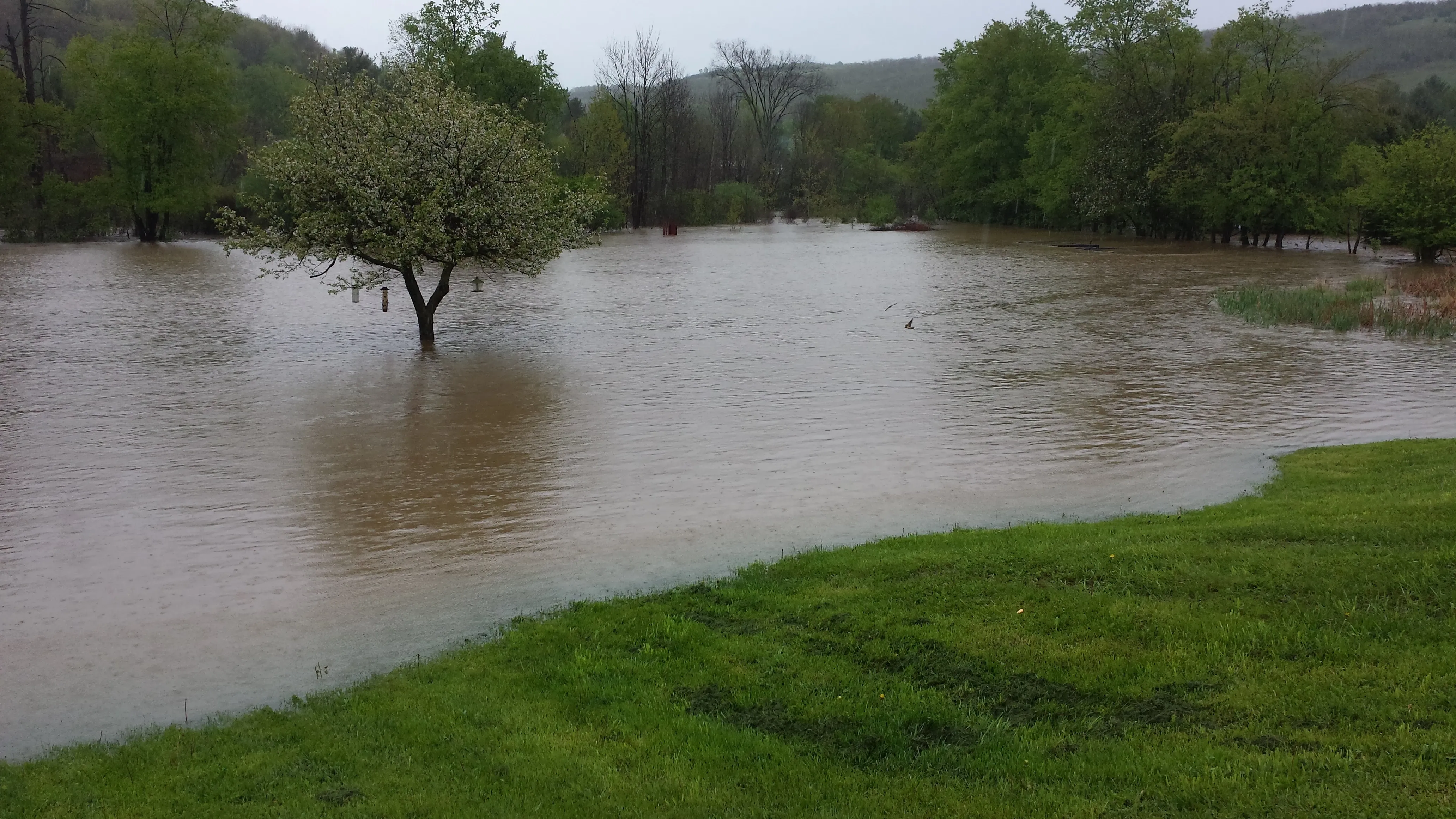 beaver dam flood
