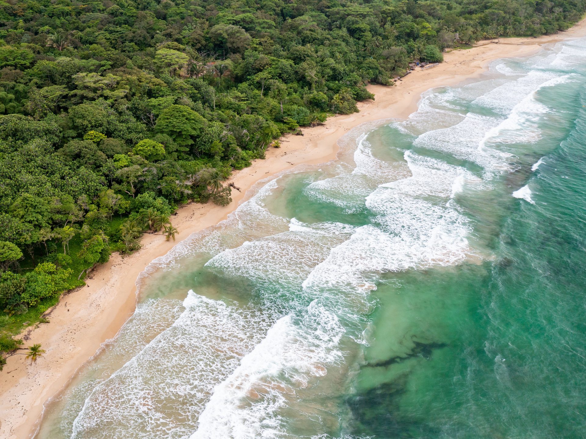 bocas del toro coastline