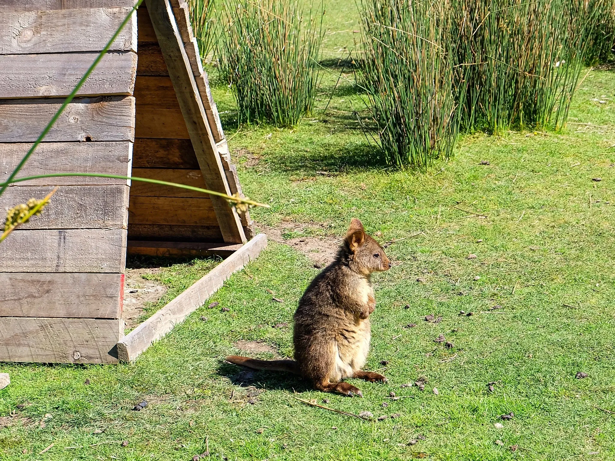 Volunteering in Oceania