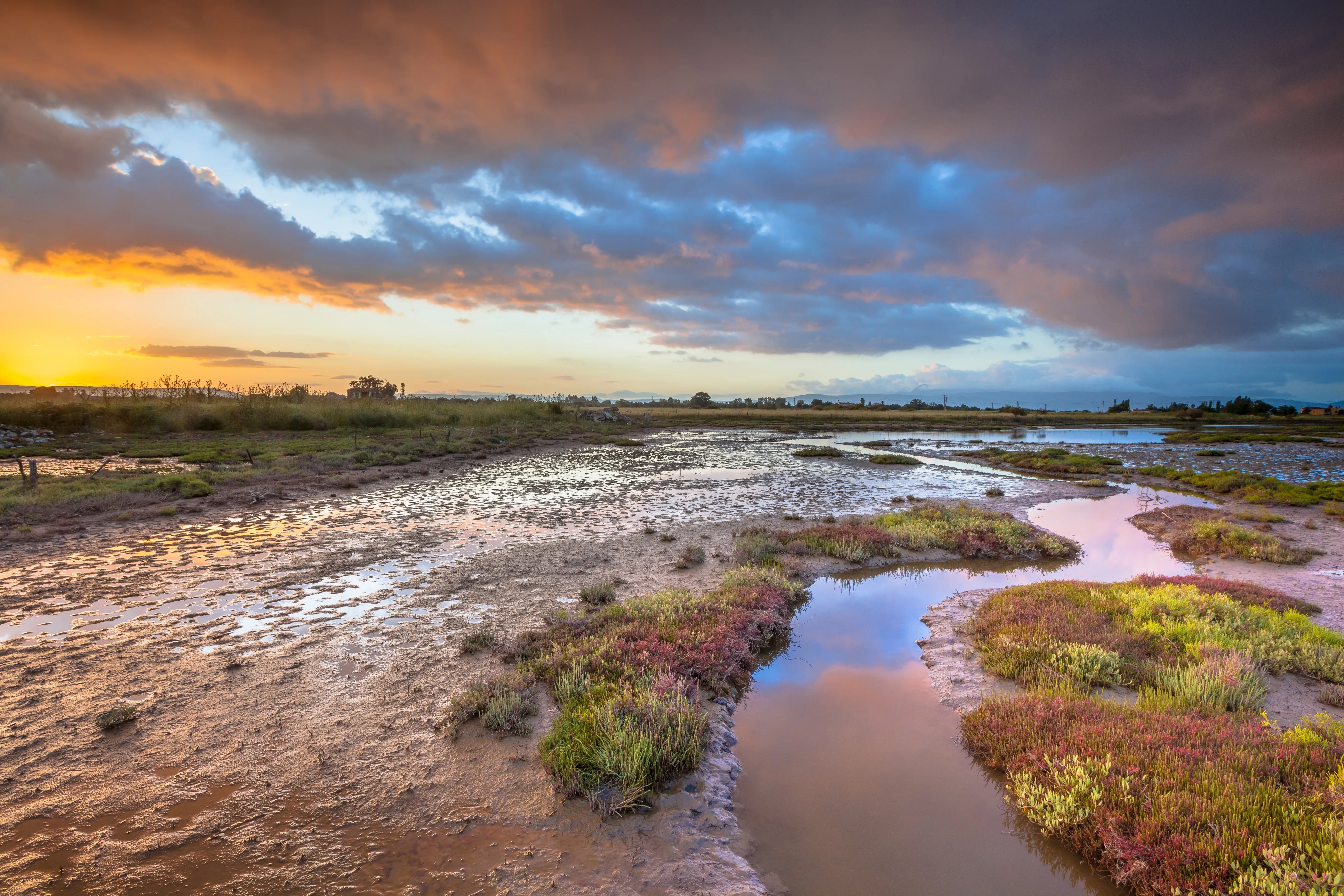 Greece salt marsh