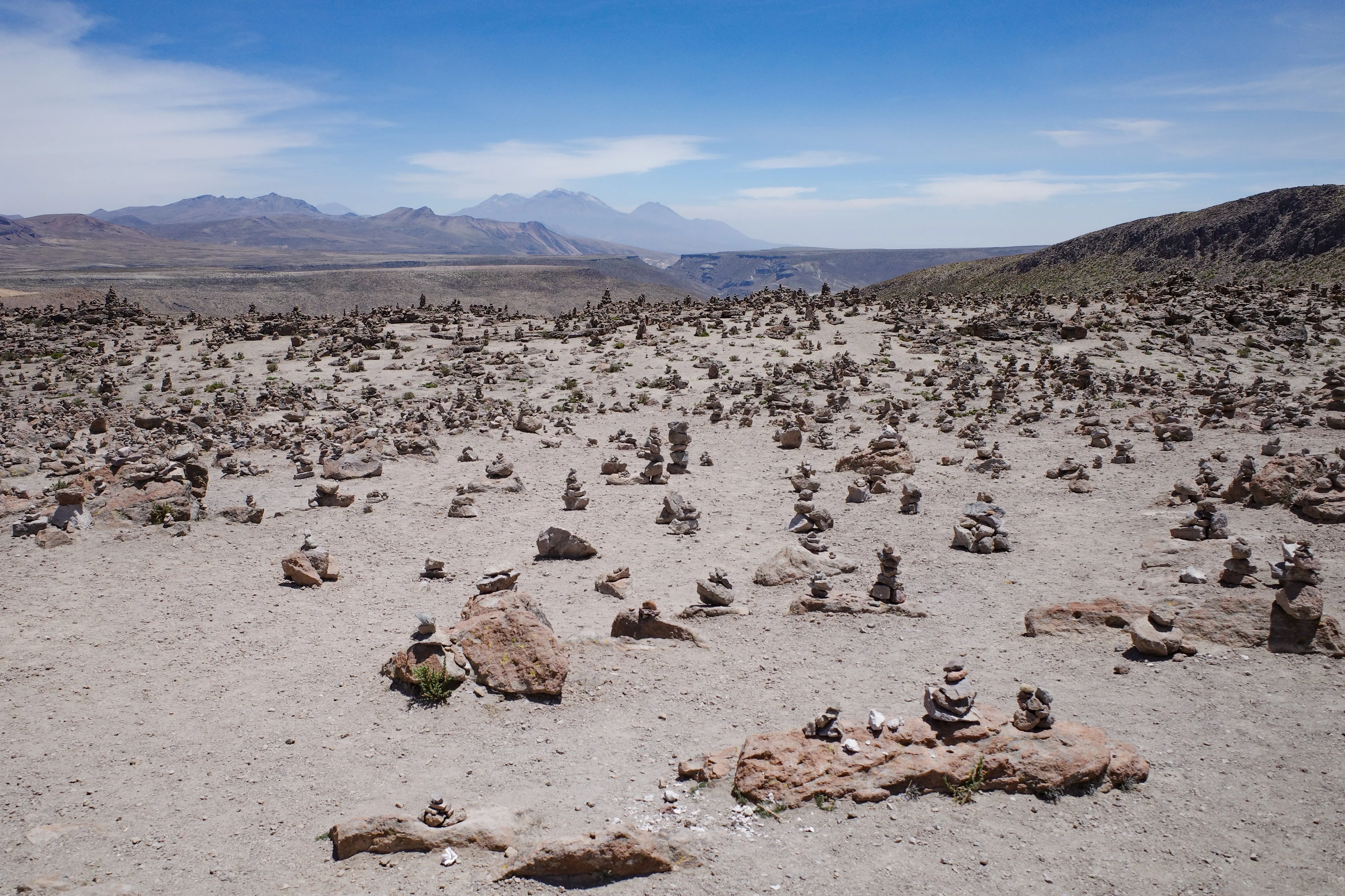 puna landscape