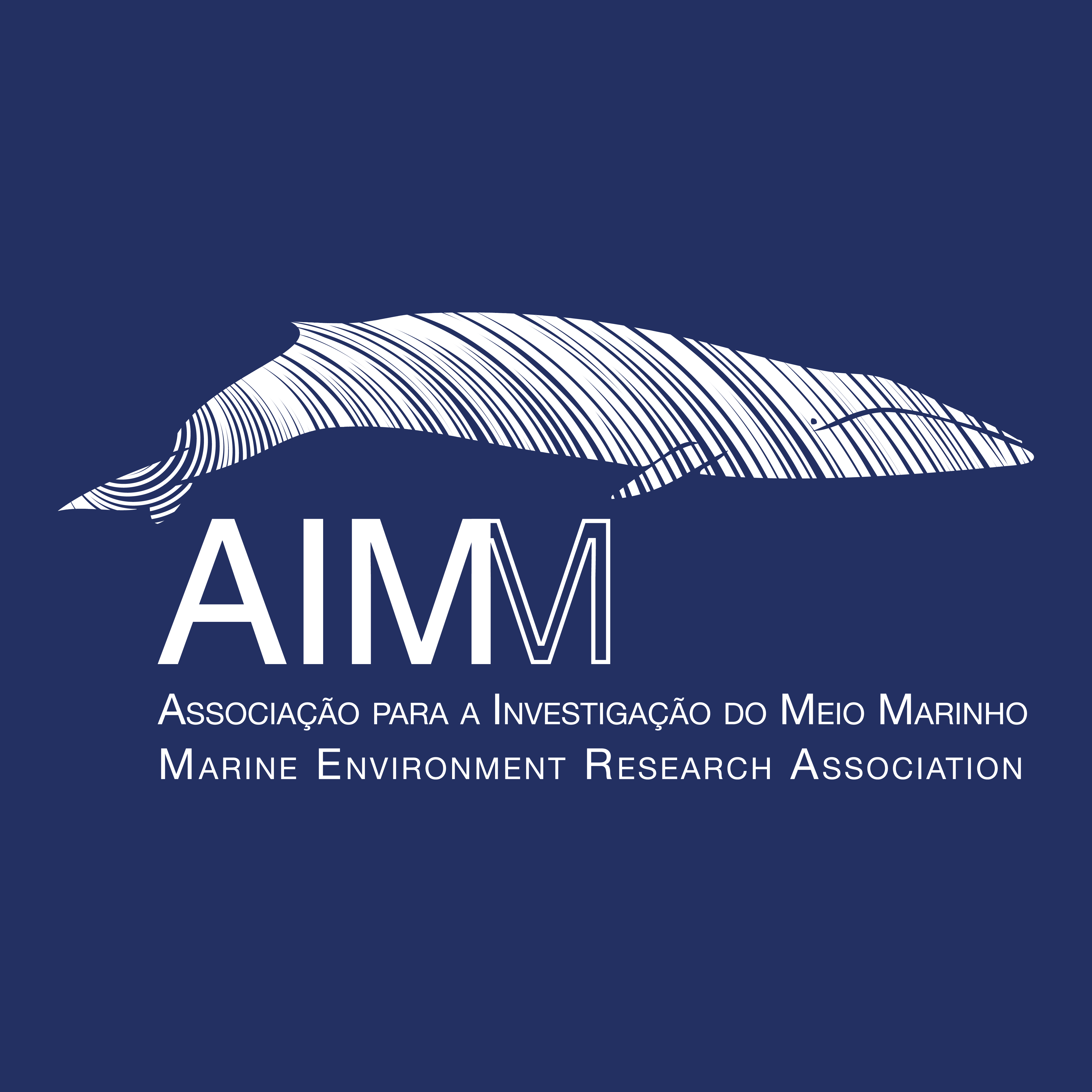 Unser Partner: AIMM