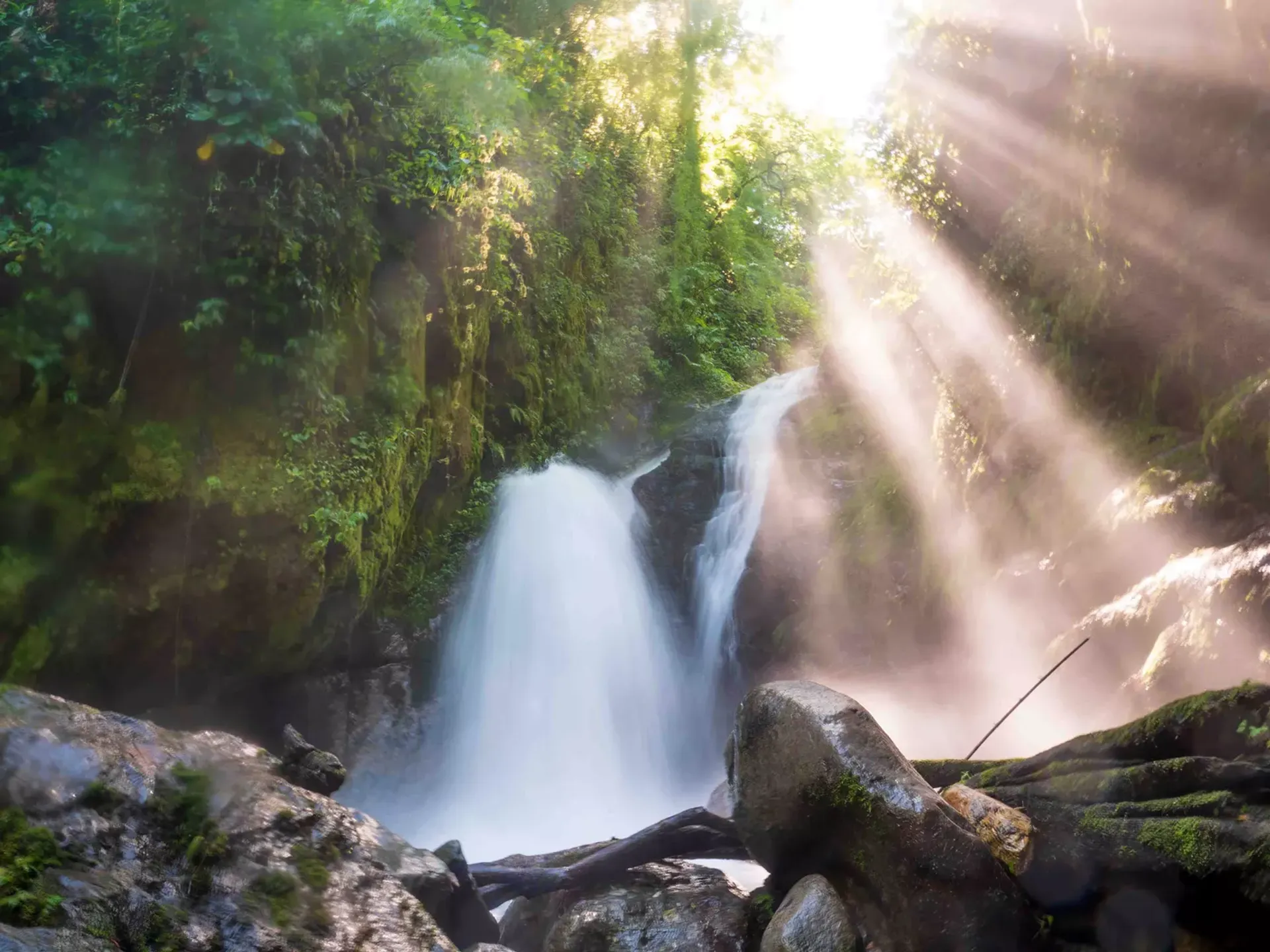 Freiwilligendienst Waldschutz, Costa Rica