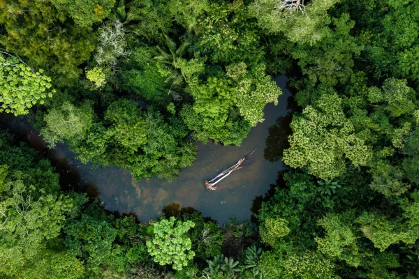 Birdseye-view of amazon rainforest