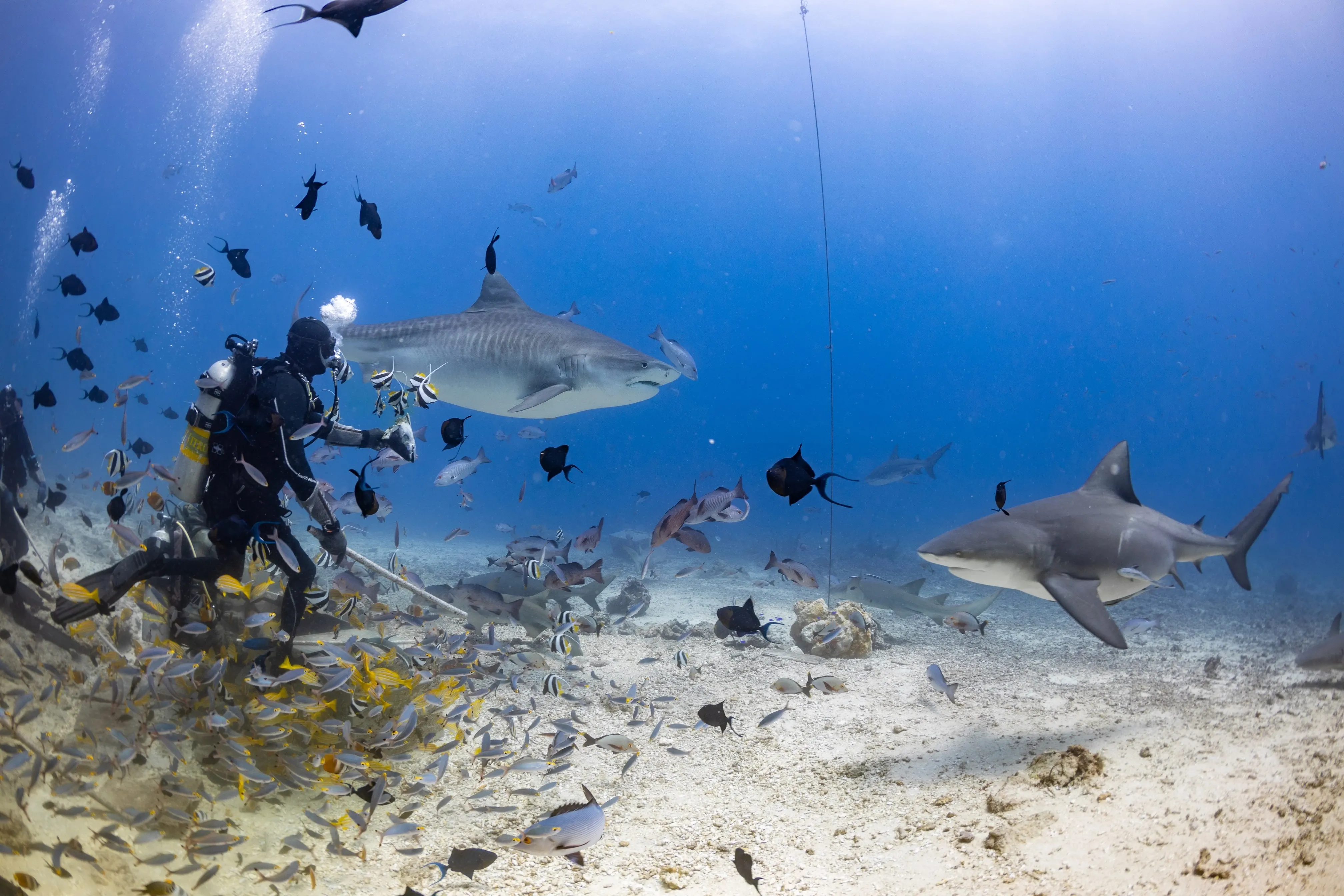 Volunteering in Oceania