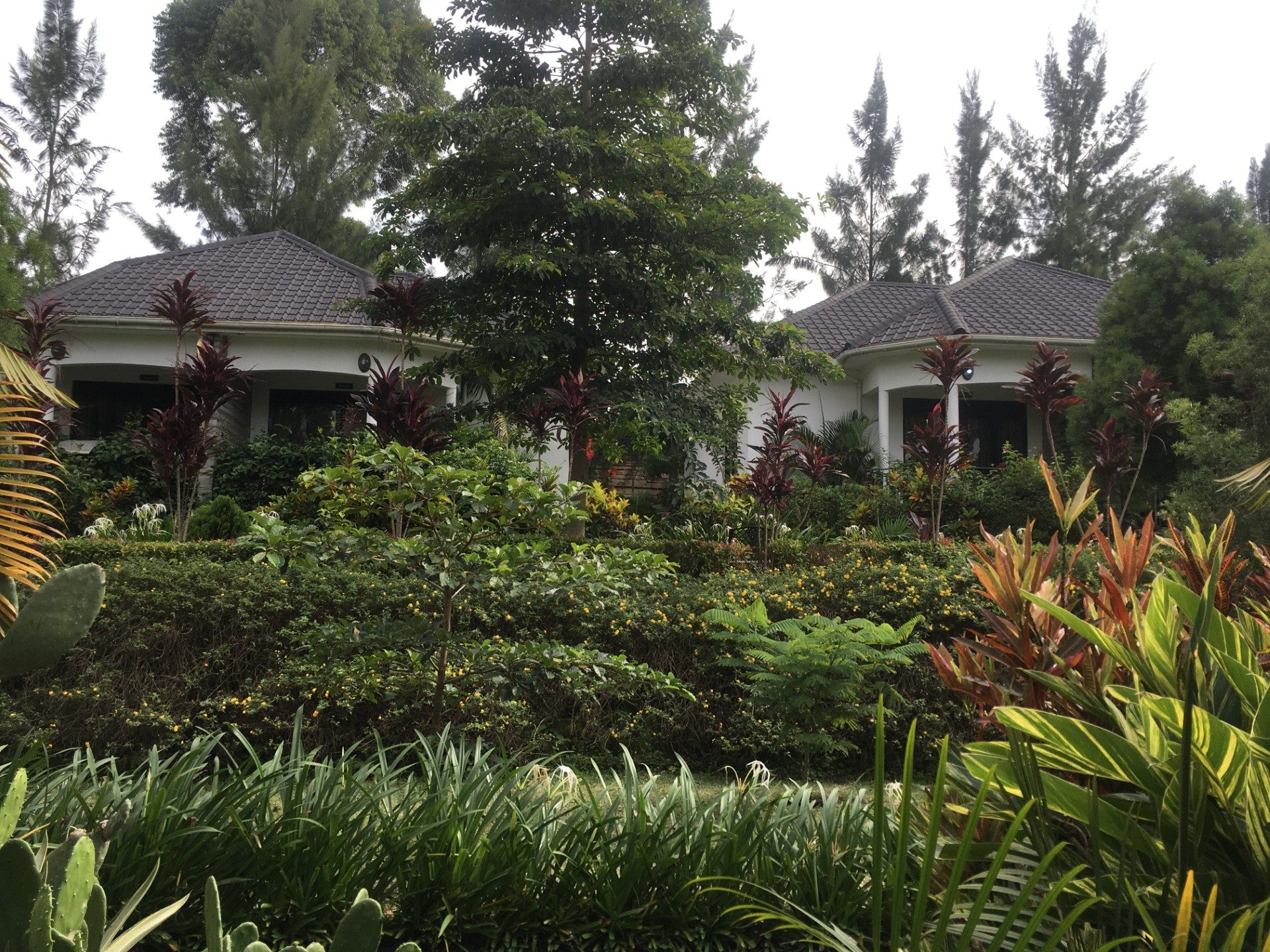 Kibale accommodation garden